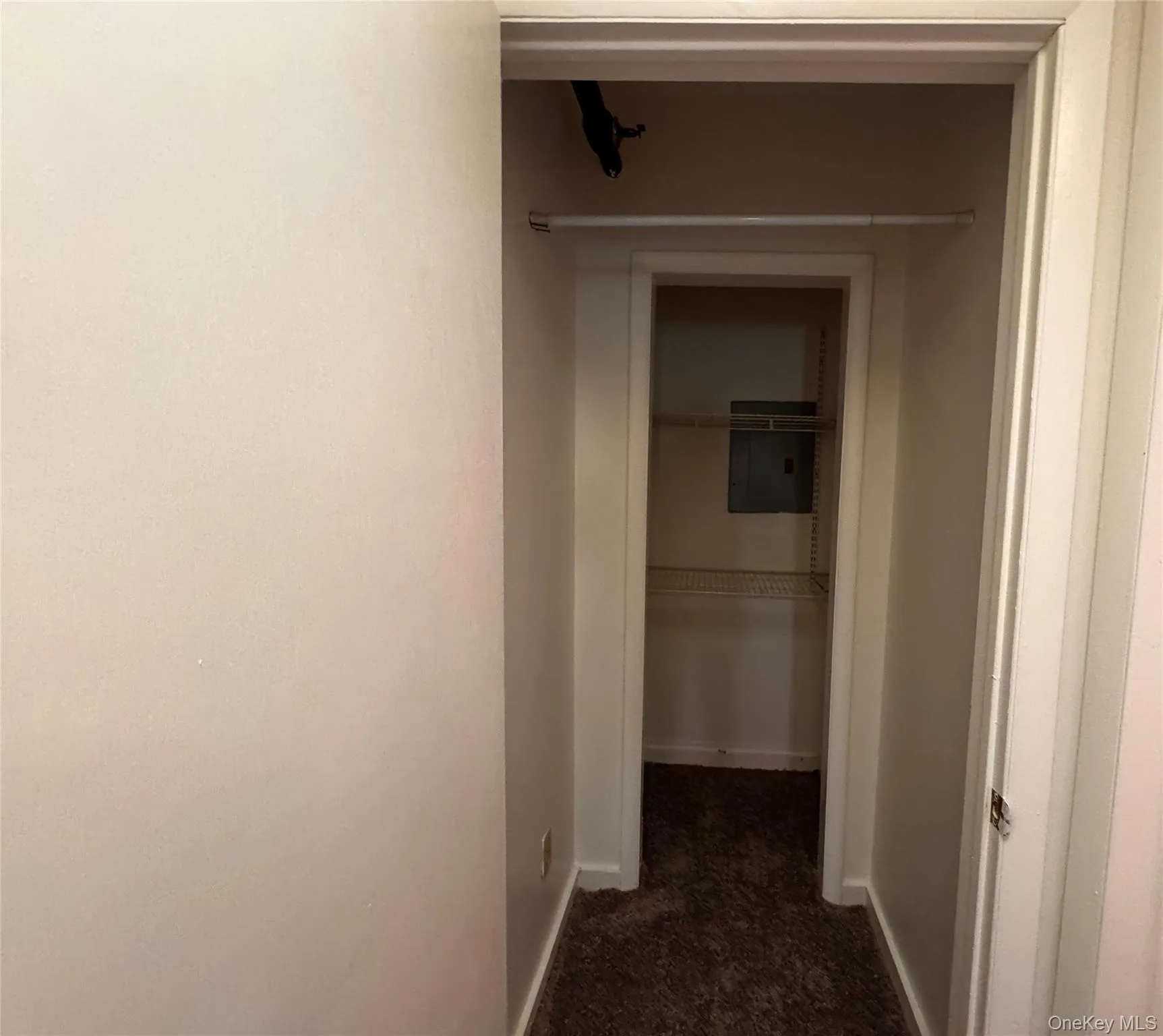 Closet space at end of hallway Closet space at end of hallway