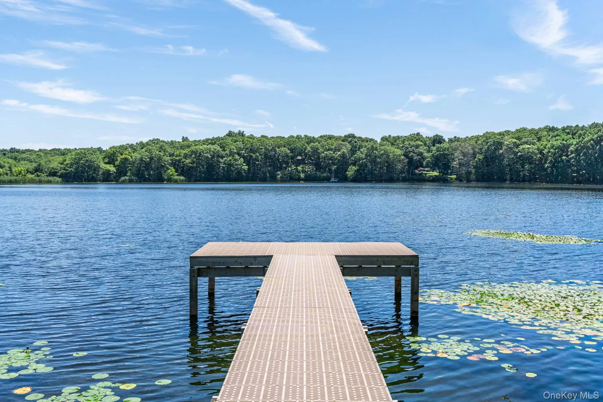 THE LAKE HOUSE THE LAKE HOUSE