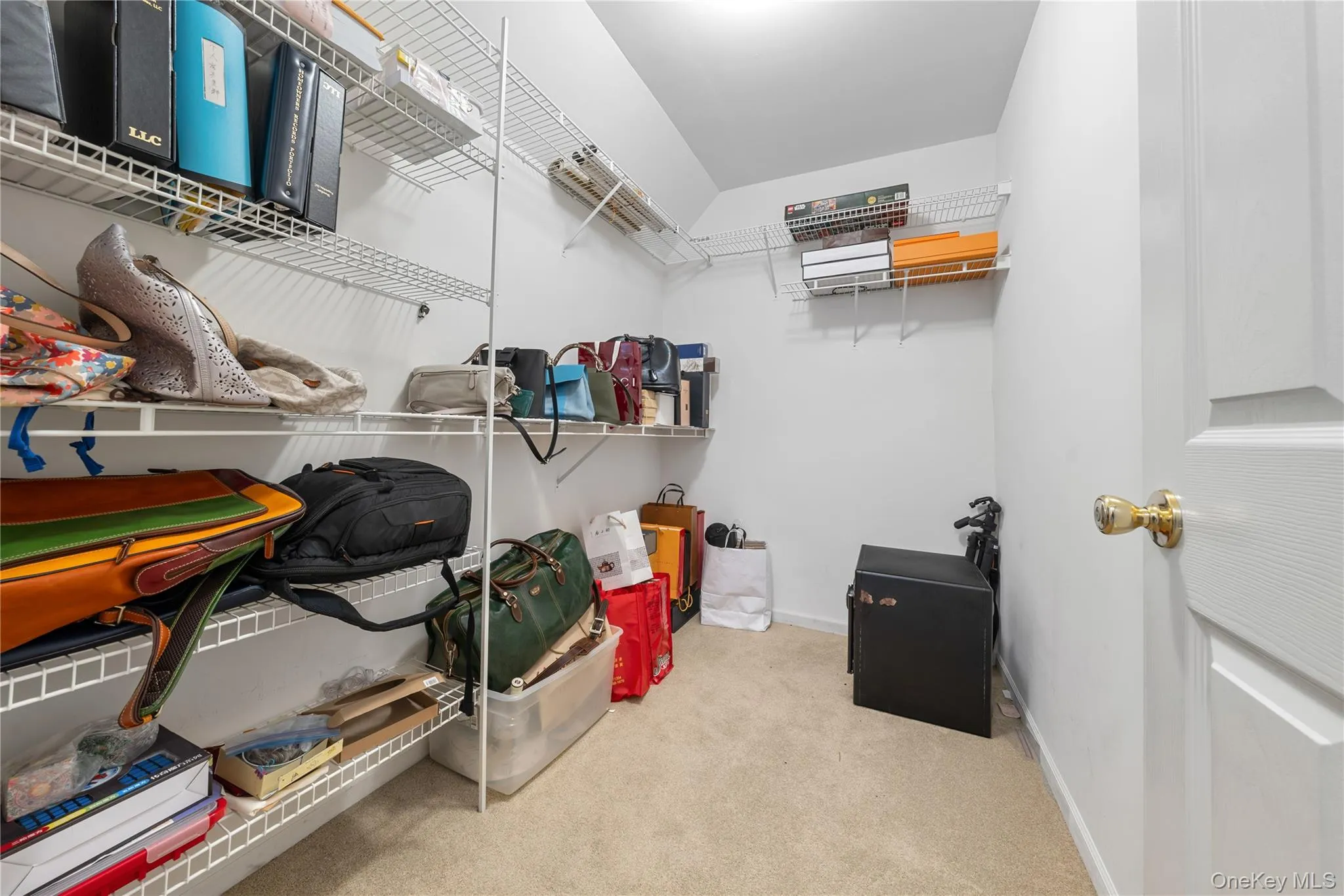 23 Varsity Blvd., Brookhaven, NY, 4 Bedrooms Bedrooms, 12 Rooms Rooms,2 BathroomsBathrooms,Residential Lease,For Rent,Varsity Blvd.,0,1036293 23 Varsity Blvd., Brookhaven, NY, 4 Bedrooms Bedrooms, 12 Rooms Rooms,2 BathroomsBathrooms,Residential Lease,For Rent,Varsity Blvd.,0,1036293