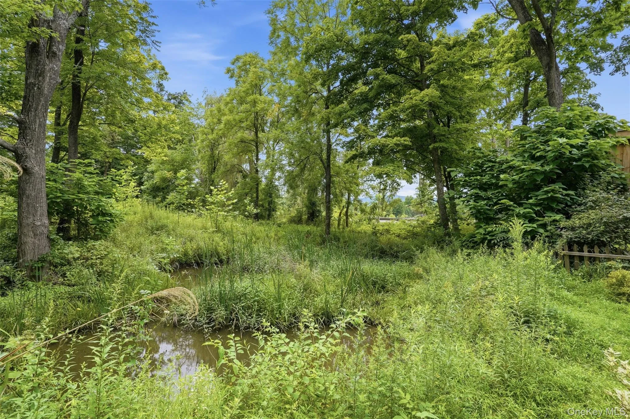 574 State Route 32, Esopus, NY, 2 Bedrooms Bedrooms, 7 Rooms Rooms,2 BathroomsBathrooms,Residential,For Rent,State Route 32,0,1036311 574 State Route 32, Esopus, NY, 2 Bedrooms Bedrooms, 7 Rooms Rooms,2 BathroomsBathrooms,Residential,For Rent,State Route 32,0,1036311