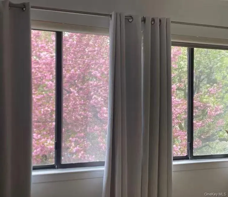 Cherry blossom view. Cherry blossom view.