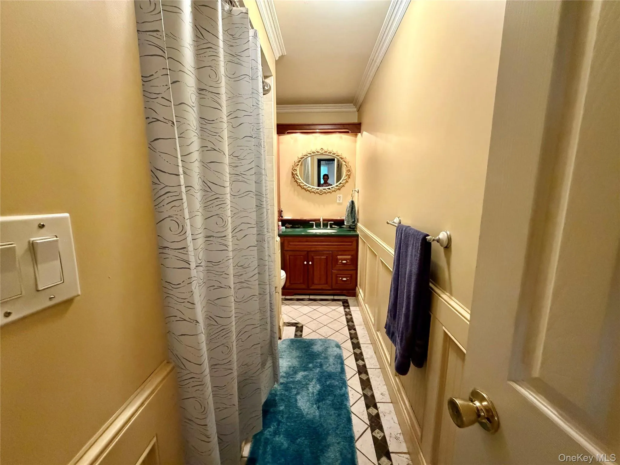 Bathroom featuring wainscoting, crown molding, and a vanity with a dark countertop Bathroom featuring wainscoting, crown molding, and a vanity with a dark countertop