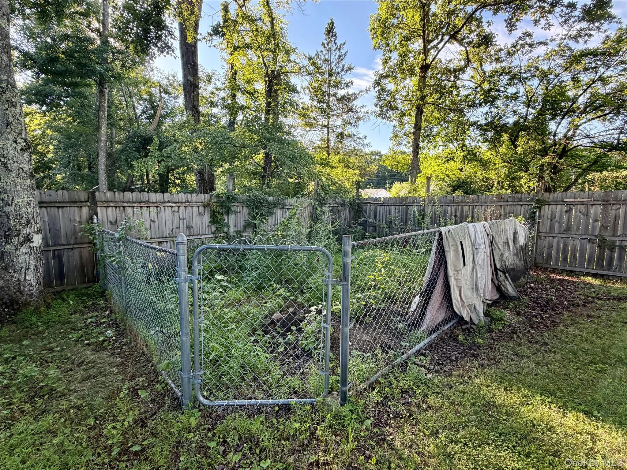 Fenced in garden area or dog run Fenced in garden area or dog run