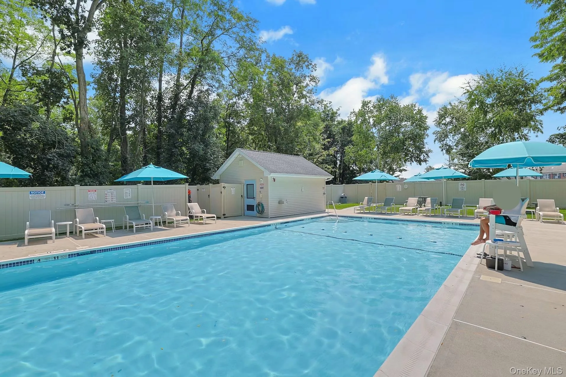 Beautiful swimming pool. Beautiful swimming pool.