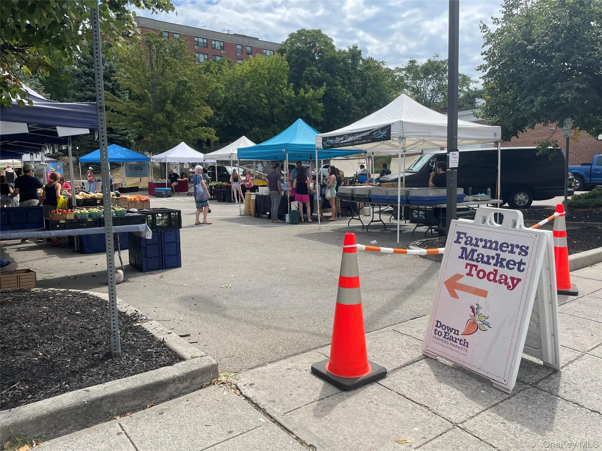 Ossining Farmer's Market. Ossining Farmer's Market.