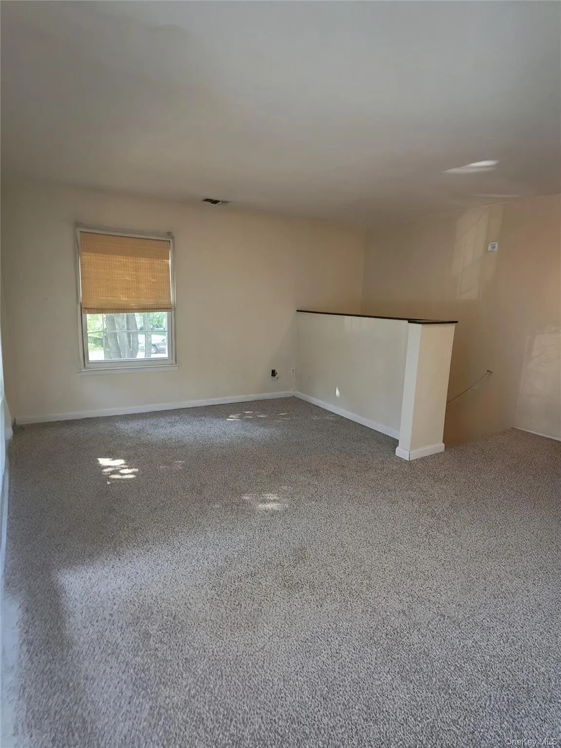 New flooring, lots of windows New flooring, lots of windows