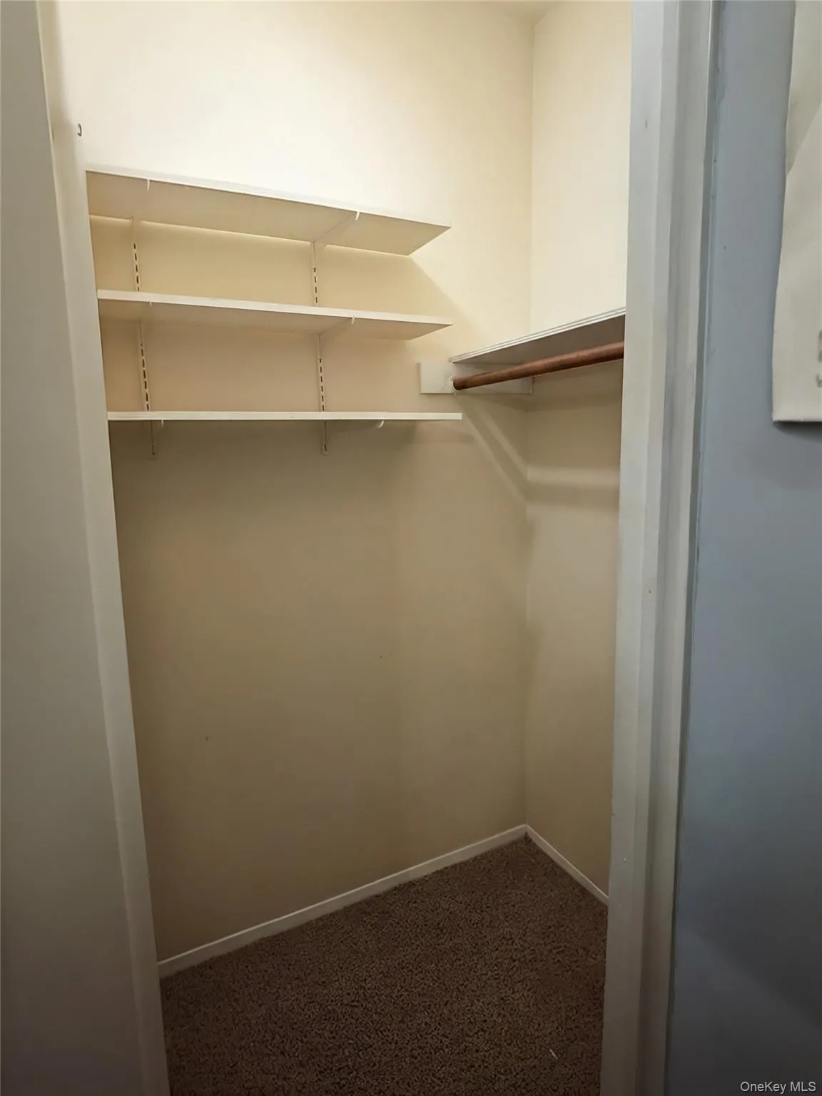Large walk in closet in 2nd bedroom Large walk in closet in 2nd bedroom