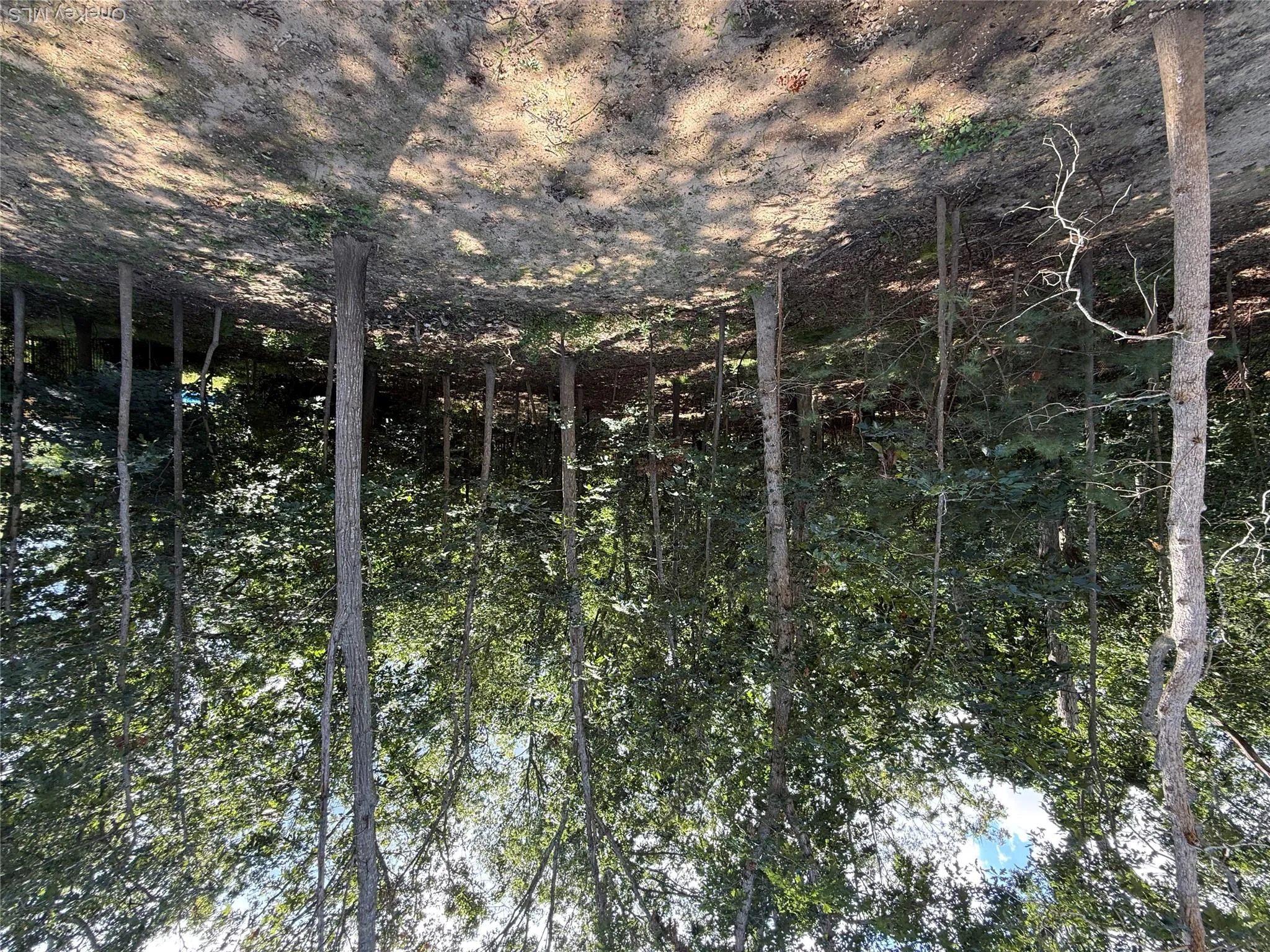 6 Scout Trail, Brookhaven, NY, 3 Bedrooms Bedrooms, 7 Rooms Rooms,2 BathroomsBathrooms,Residential,For Rent,Scout,0,1036370 6 Scout Trail, Brookhaven, NY, 3 Bedrooms Bedrooms, 7 Rooms Rooms,2 BathroomsBathrooms,Residential,For Rent,Scout,0,1036370