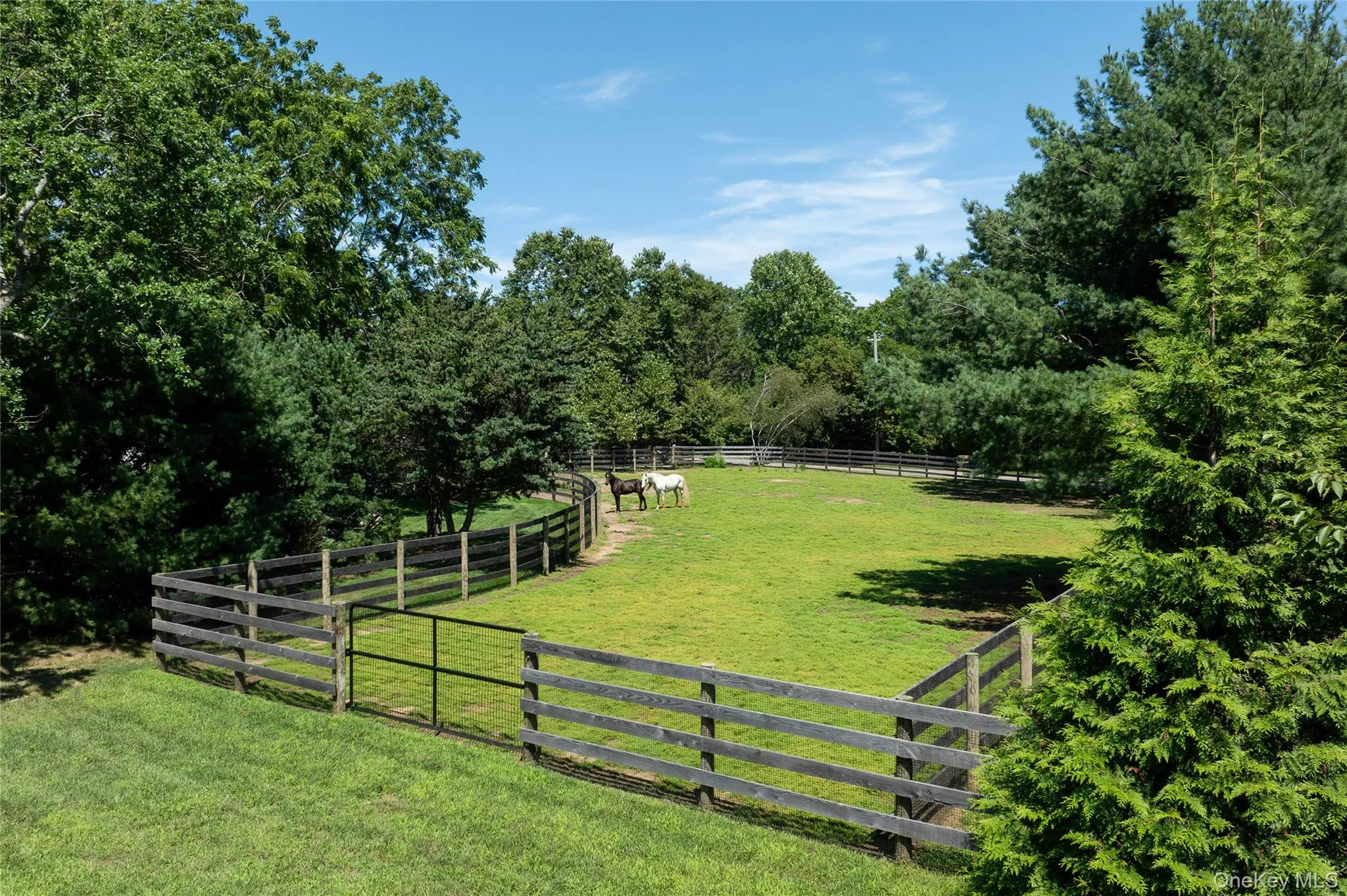 2850 Main Bayview Road, Southold, NY, 3 Bedrooms Bedrooms, 6 Rooms Rooms,2 BathroomsBathrooms,Residential,For Rent,Main Bayview,0,1036373 2850 Main Bayview Road, Southold, NY, 3 Bedrooms Bedrooms, 6 Rooms Rooms,2 BathroomsBathrooms,Residential,For Rent,Main Bayview,0,1036373