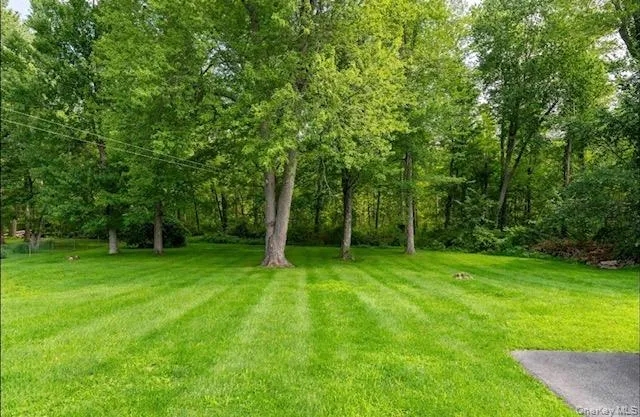 Private level backyard Private level backyard