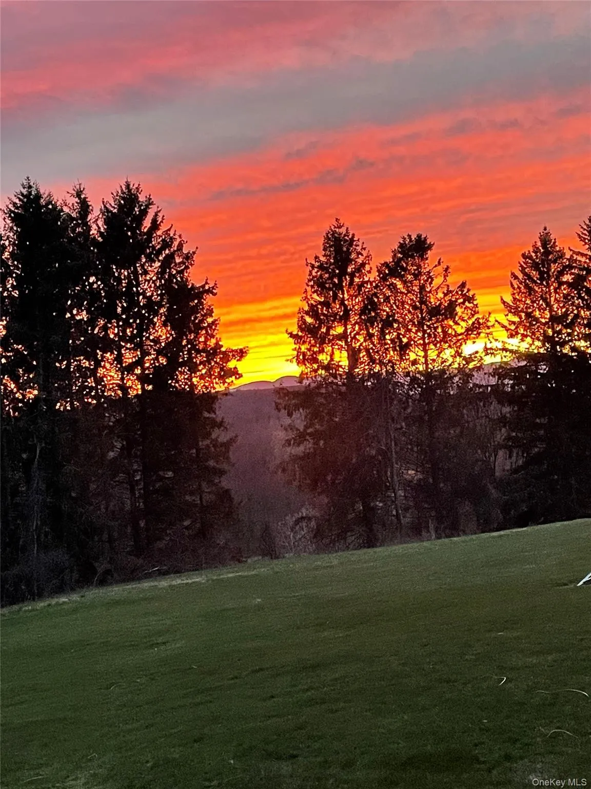 2727 County Route 8, Gallatin, NY, 4 Bedrooms Bedrooms, 7 Rooms Rooms,2 BathroomsBathrooms,Residential,For Rent,County Route 8,0,1036419 2727 County Route 8, Gallatin, NY, 4 Bedrooms Bedrooms, 7 Rooms Rooms,2 BathroomsBathrooms,Residential,For Rent,County Route 8,0,1036419