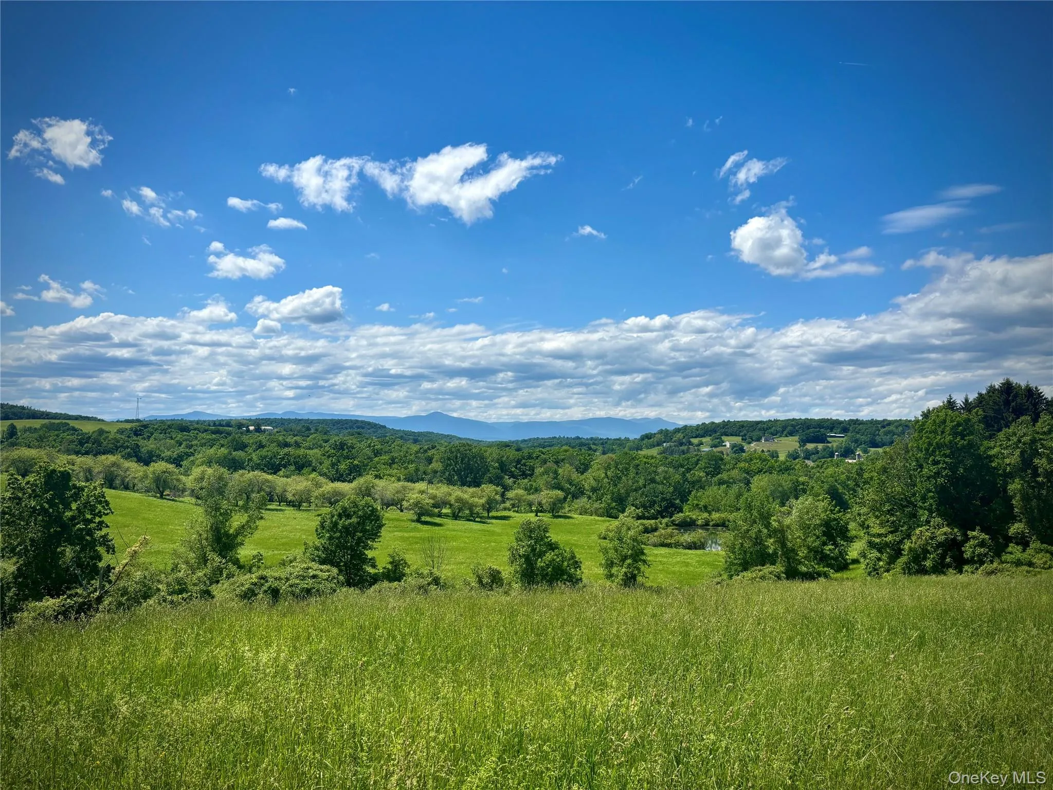 2727 County Route 8, Gallatin, NY, 4 Bedrooms Bedrooms, 7 Rooms Rooms,2 BathroomsBathrooms,Residential,For Rent,County Route 8,0,1036419 2727 County Route 8, Gallatin, NY, 4 Bedrooms Bedrooms, 7 Rooms Rooms,2 BathroomsBathrooms,Residential,For Rent,County Route 8,0,1036419