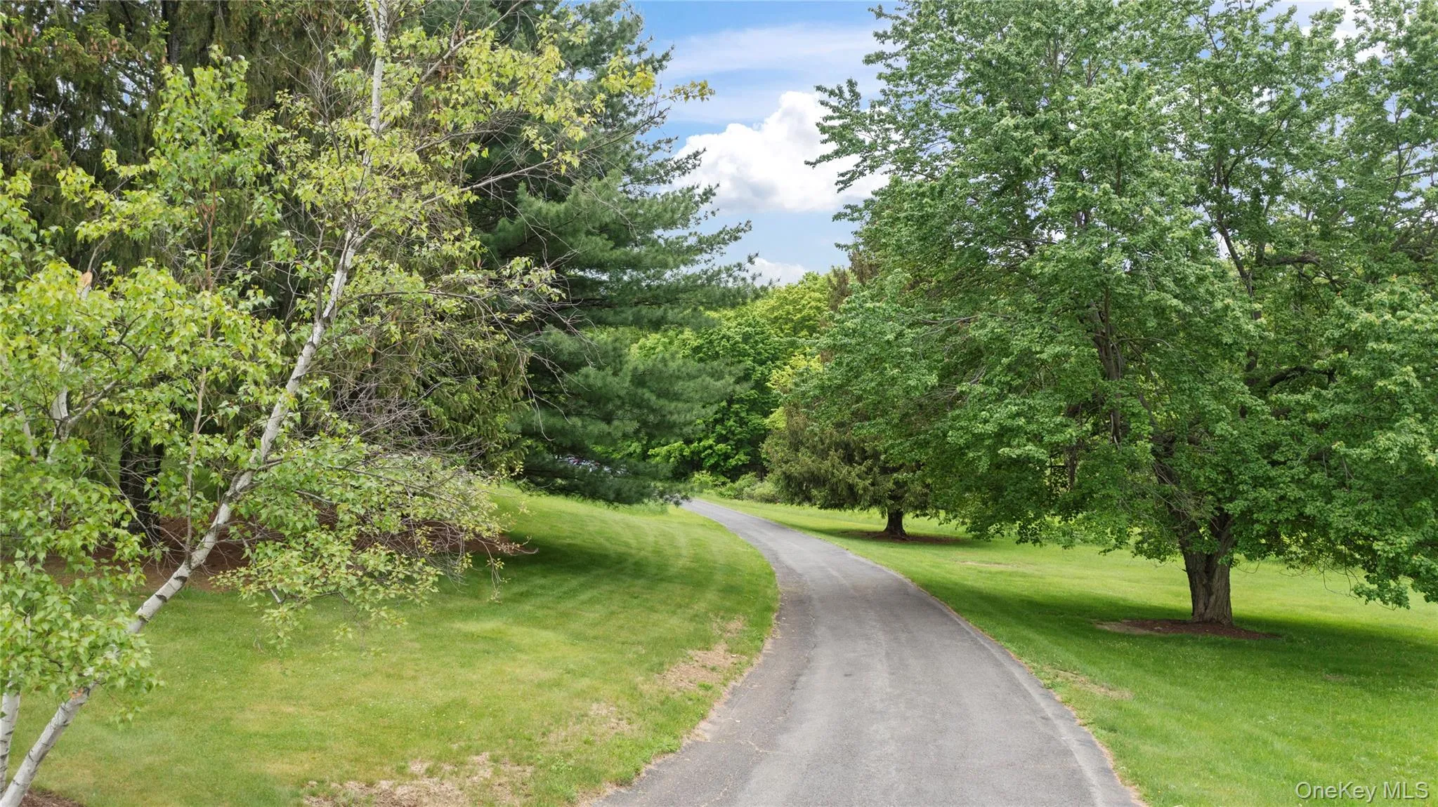 2727 County Route 8, Gallatin, NY, 4 Bedrooms Bedrooms, 7 Rooms Rooms,2 BathroomsBathrooms,Residential,For Rent,County Route 8,0,1036419 2727 County Route 8, Gallatin, NY, 4 Bedrooms Bedrooms, 7 Rooms Rooms,2 BathroomsBathrooms,Residential,For Rent,County Route 8,0,1036419