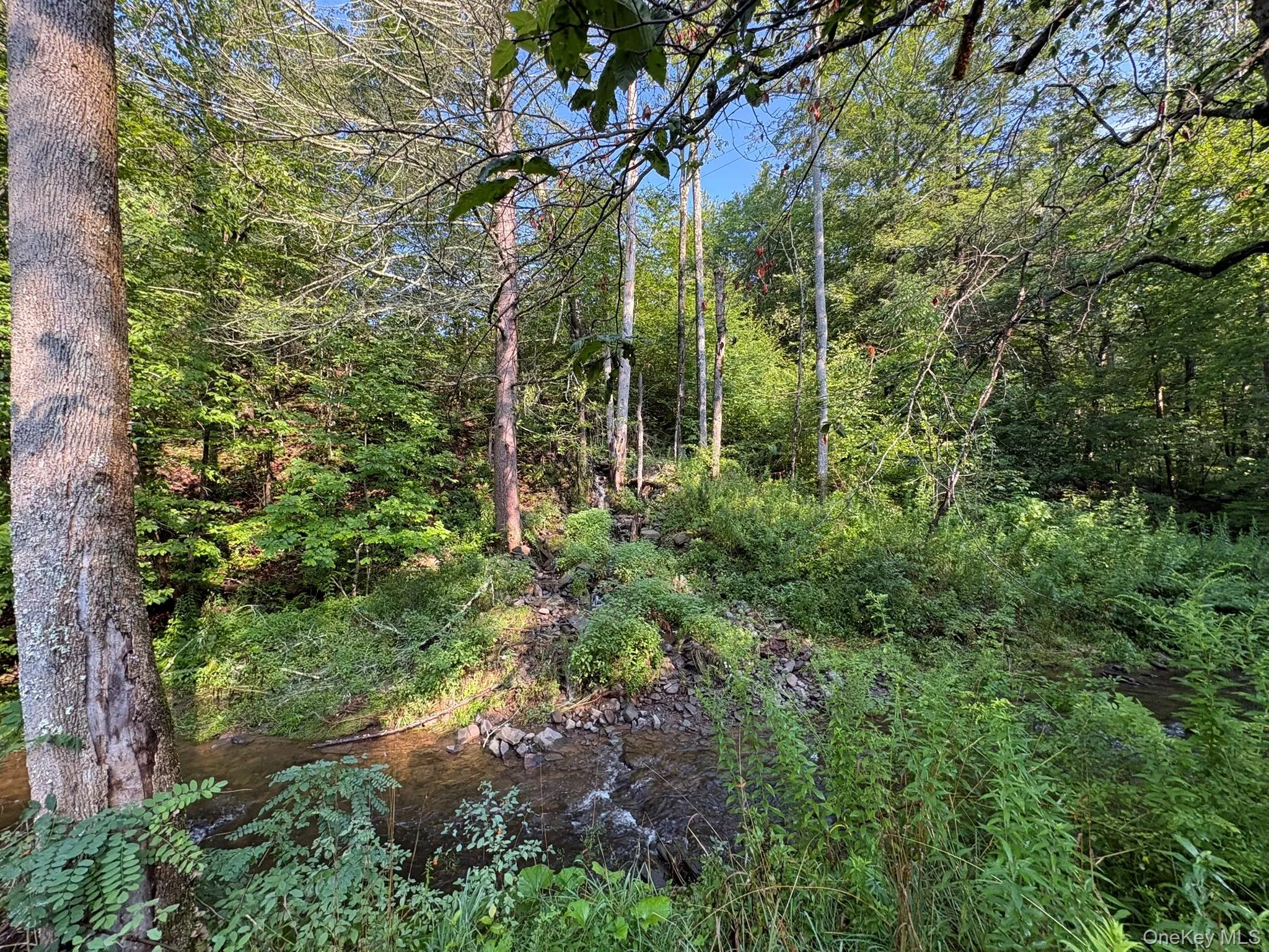 1360 Gulf Road, Callicoon, NY, 1 Bedroom Bedrooms, 3 Rooms Rooms,1 BathroomBathrooms,Residential Lease,For Rent,Gulf,0,1036424 1360 Gulf Road, Callicoon, NY, 1 Bedroom Bedrooms, 3 Rooms Rooms,1 BathroomBathrooms,Residential Lease,For Rent,Gulf,0,1036424