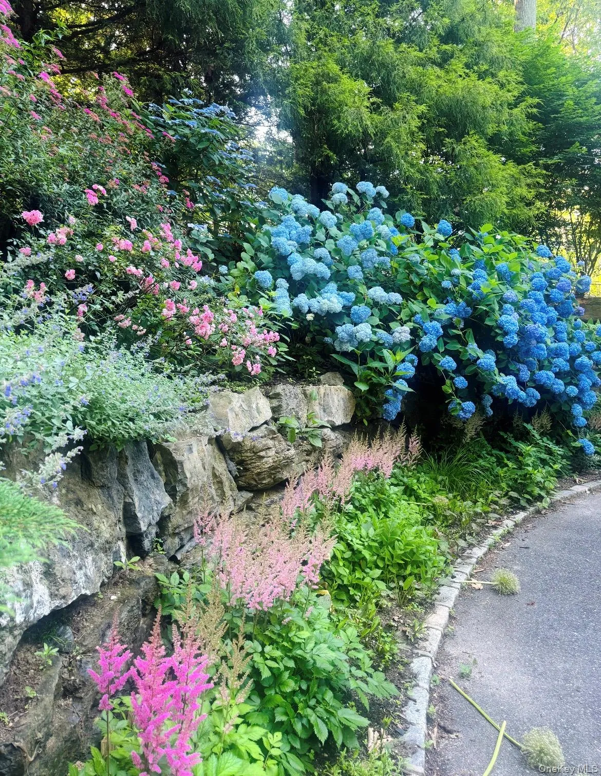 Gorgeous plantings. Gorgeous plantings.