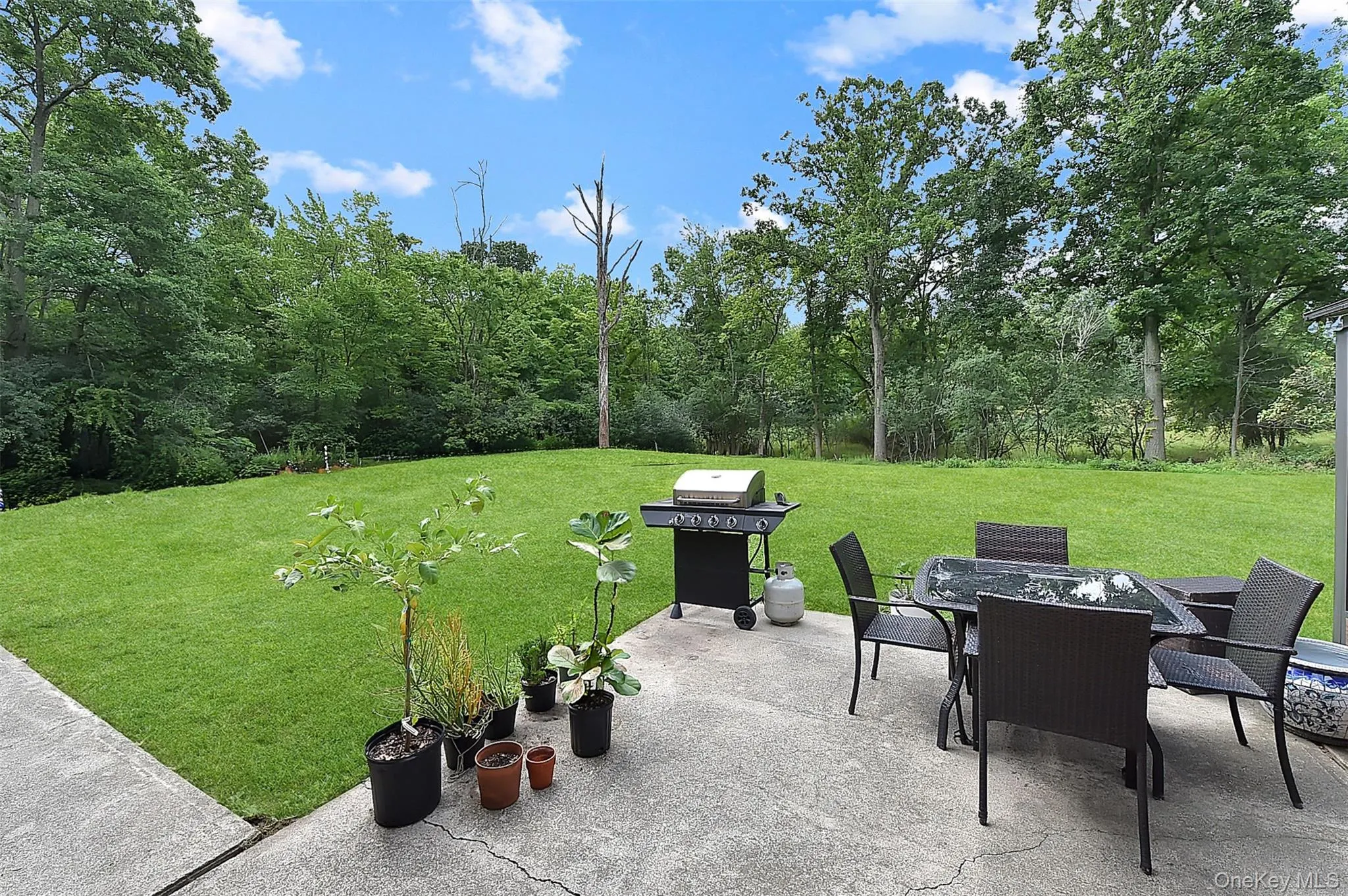 243 Hill Road, Goshen, NY, 4 Bedrooms Bedrooms, 10 Rooms Rooms,2 BathroomsBathrooms,Residential,For Rent,Hill,0,1036432 243 Hill Road, Goshen, NY, 4 Bedrooms Bedrooms, 10 Rooms Rooms,2 BathroomsBathrooms,Residential,For Rent,Hill,0,1036432