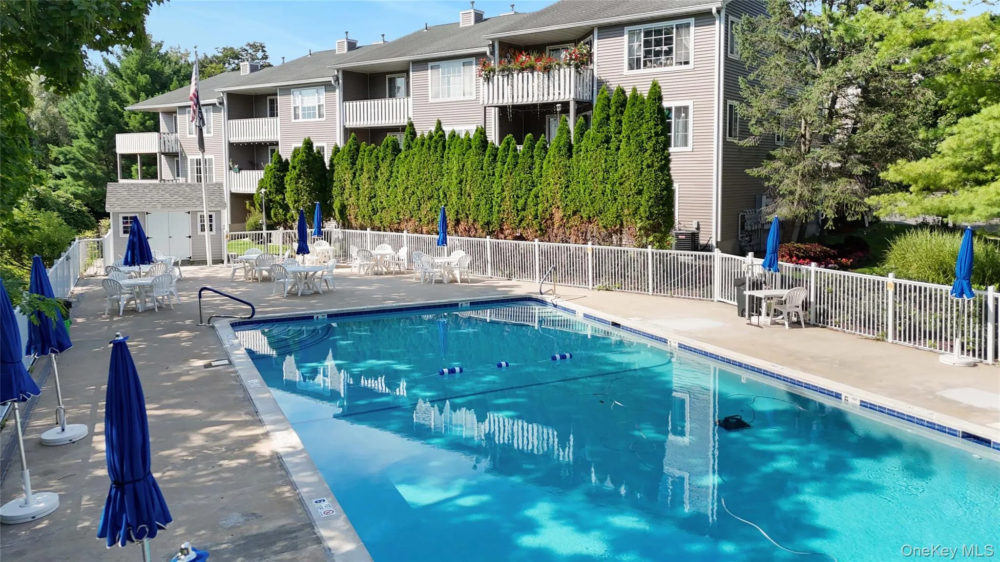 Outdoor swimming pool with concrete decking, surrounded by metal fencing and mature evergreen privacy landscaping Outdoor swimming pool with concrete decking, surrounded by metal fencing and mature evergreen privacy landscaping