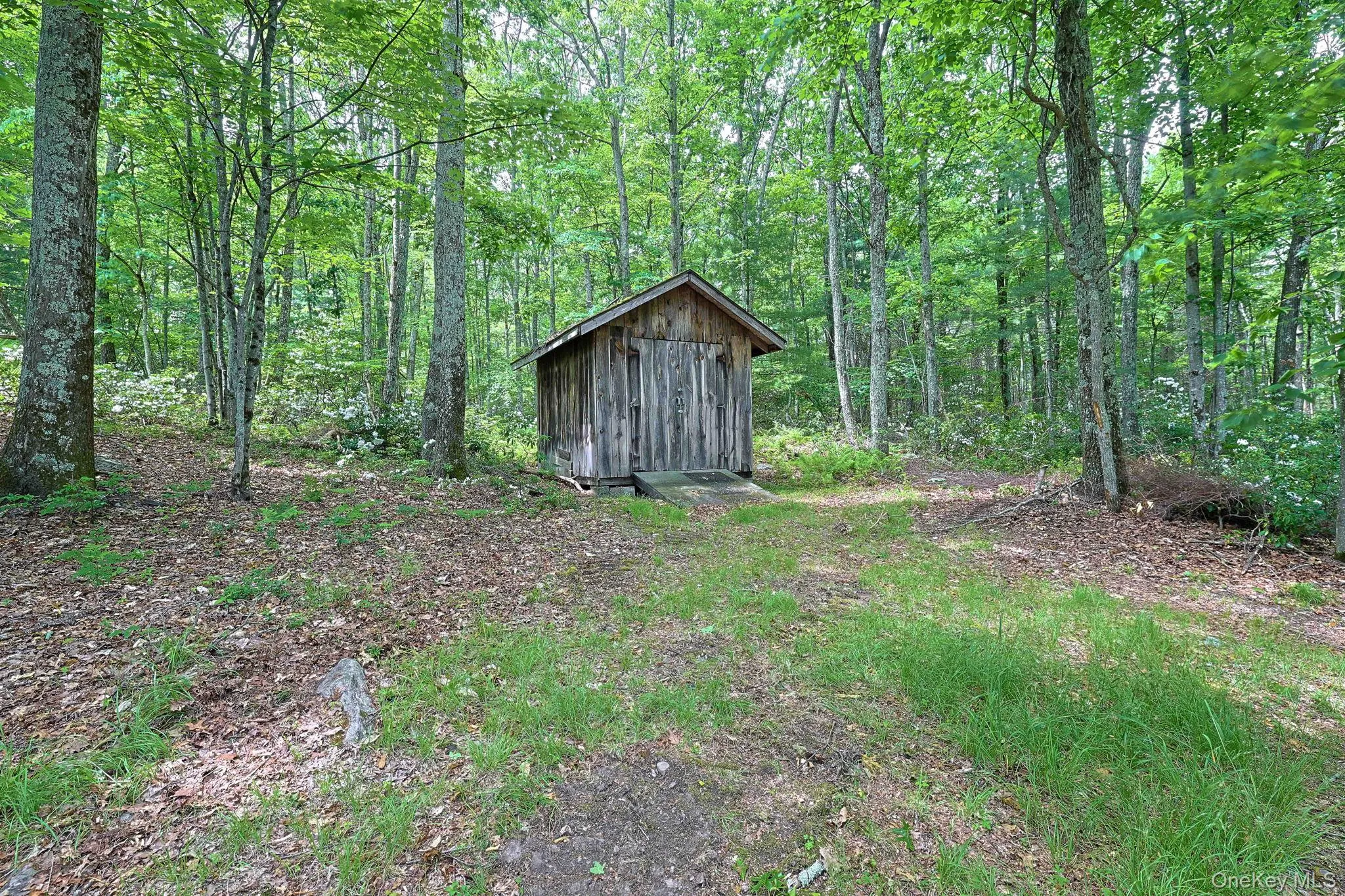 46 Finkle Road, Mamakating, NY, 3 Bedrooms Bedrooms, 9 Rooms Rooms,2 BathroomsBathrooms,Residential Lease,For Rent,Finkle,0,1036452 46 Finkle Road, Mamakating, NY, 3 Bedrooms Bedrooms, 9 Rooms Rooms,2 BathroomsBathrooms,Residential Lease,For Rent,Finkle,0,1036452