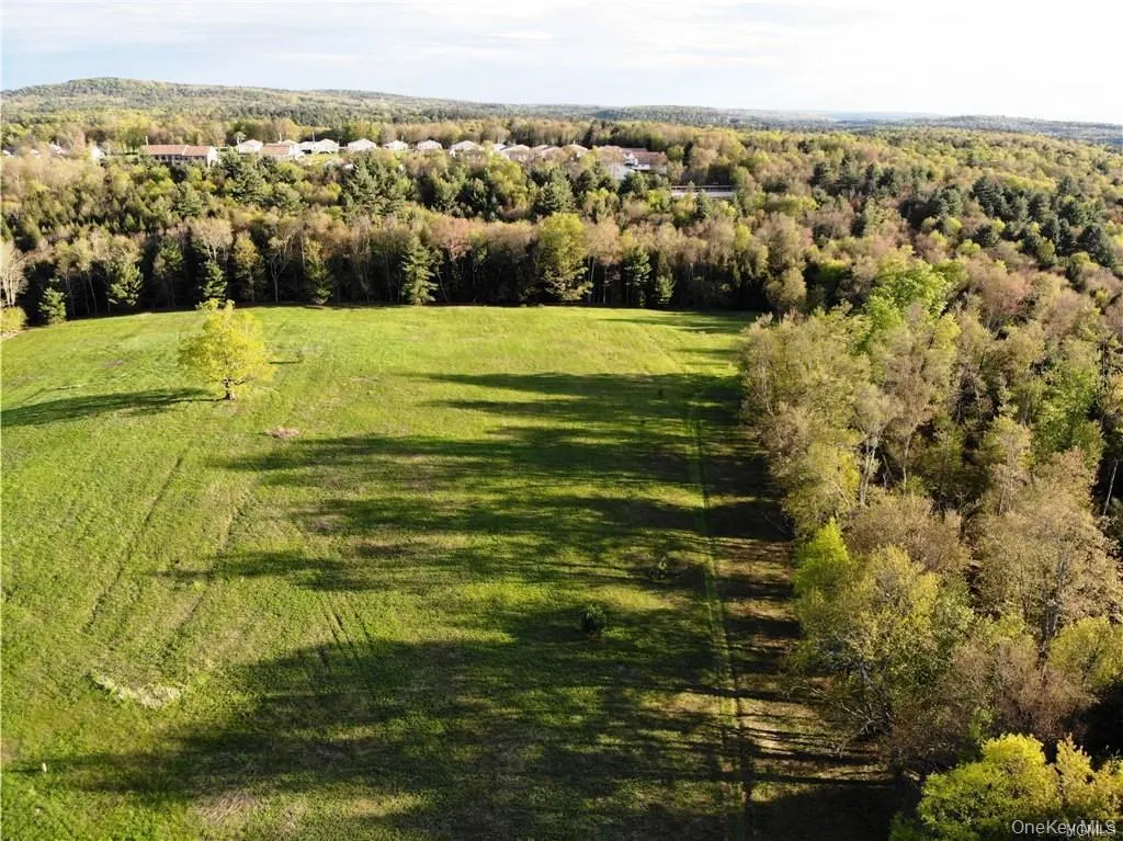 00 Benmosche Road, Thompson, NY, ,Land,For Rent,Benmosche,0,1036455 00 Benmosche Road, Thompson, NY, ,Land,For Rent,Benmosche,0,1036455