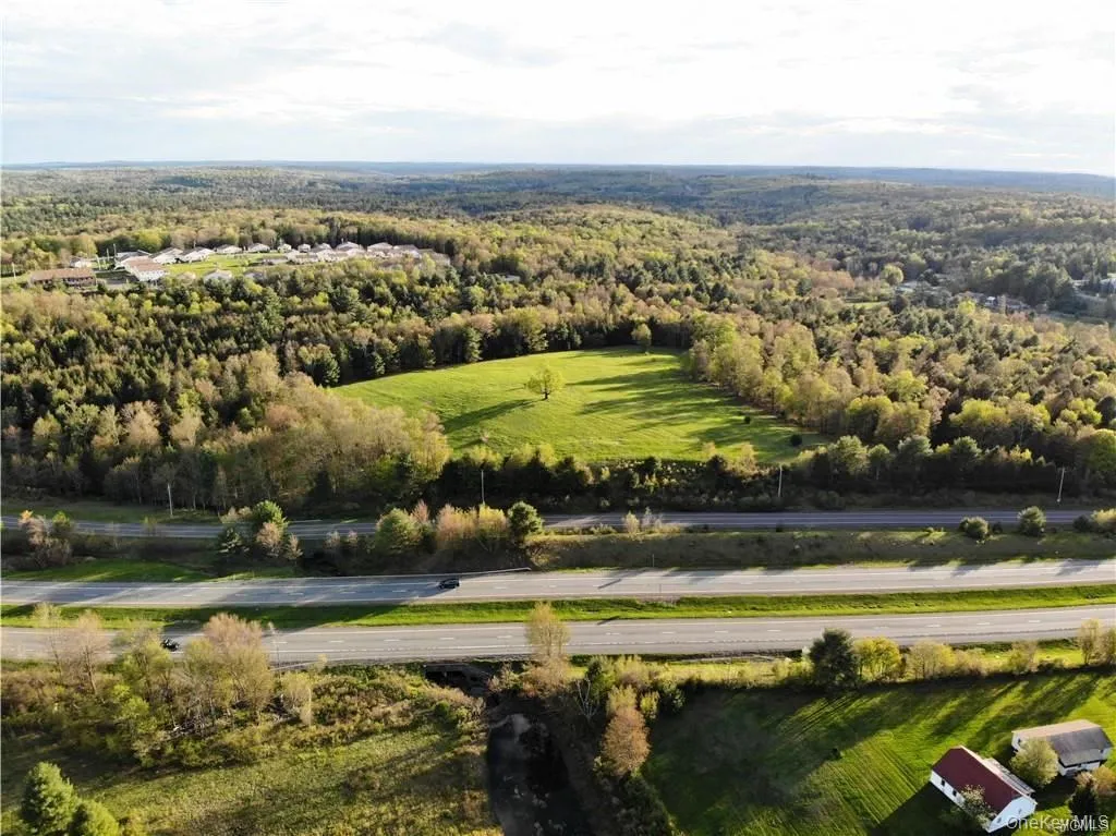 00 Benmosche Road, Thompson, NY, ,Land,For Rent,Benmosche,0,1036455 00 Benmosche Road, Thompson, NY, ,Land,For Rent,Benmosche,0,1036455