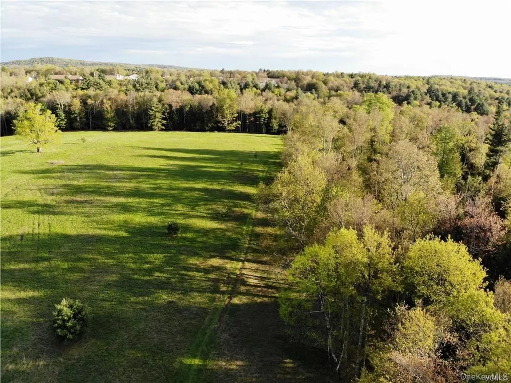 00 Benmosche Road, Thompson, NY, ,Land,For Rent,Benmosche,0,1036455 00 Benmosche Road, Thompson, NY, ,Land,For Rent,Benmosche,0,1036455