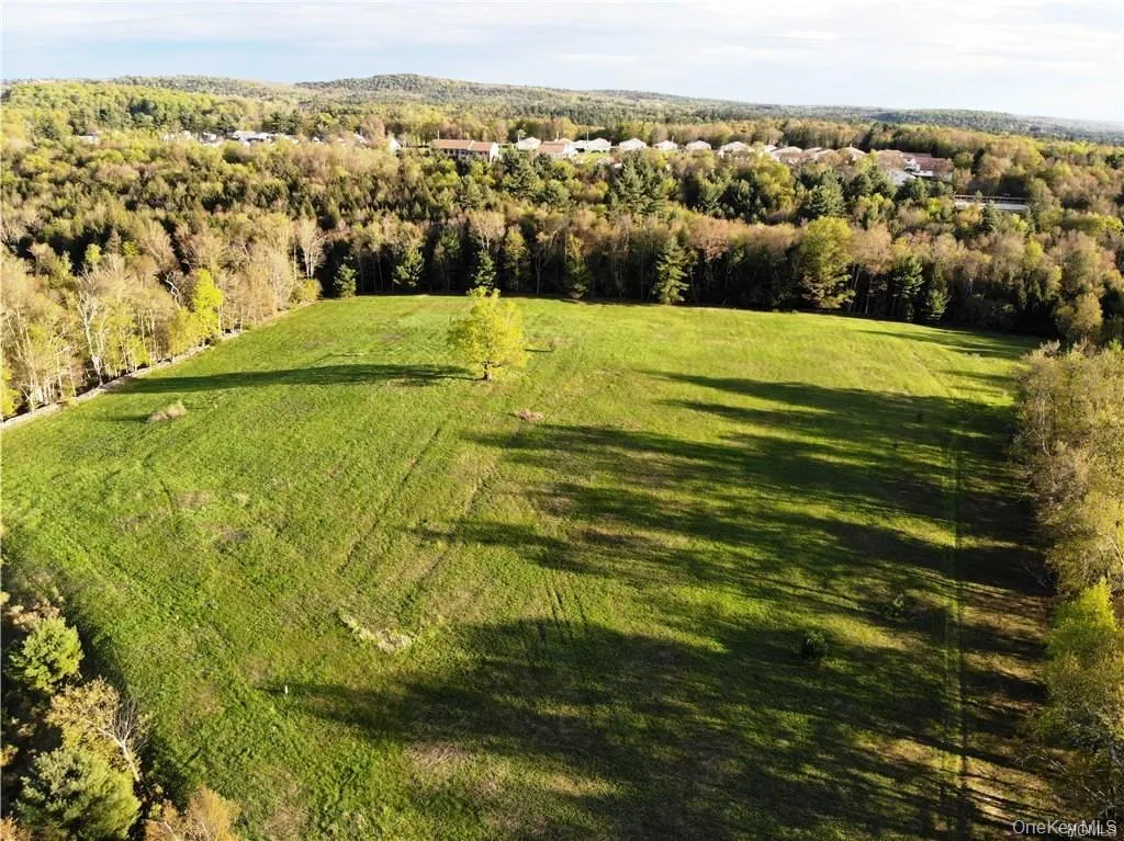 00 Benmosche Road, Thompson, NY, ,Land,For Rent,Benmosche,0,1036455 00 Benmosche Road, Thompson, NY, ,Land,For Rent,Benmosche,0,1036455
