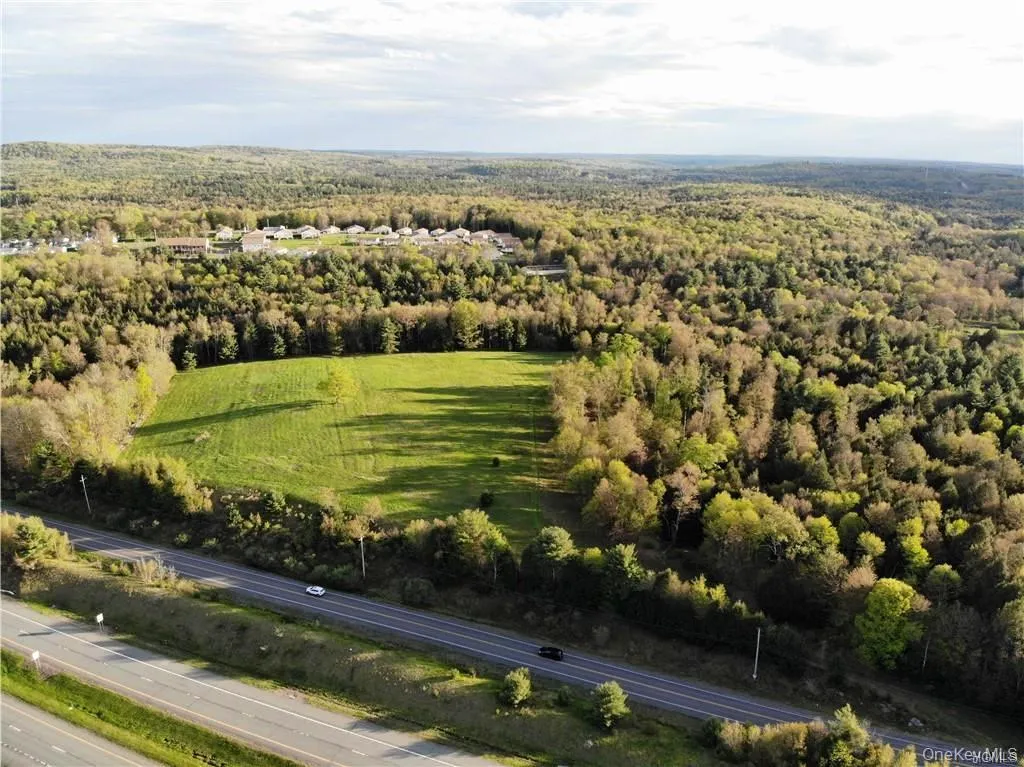 00 Benmosche Road, Thompson, NY, ,Land,For Rent,Benmosche,0,1036455 00 Benmosche Road, Thompson, NY, ,Land,For Rent,Benmosche,0,1036455