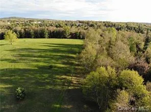 00 Benmosche Road, Thompson, NY, ,Land,For Rent,Benmosche,0,1036455 00 Benmosche Road, Thompson, NY, ,Land,For Rent,Benmosche,0,1036455