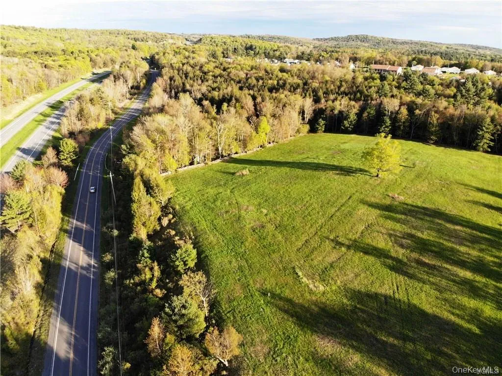 00 Benmosche Road, Thompson, NY, ,Land,For Rent,Benmosche,0,1036455 00 Benmosche Road, Thompson, NY, ,Land,For Rent,Benmosche,0,1036455