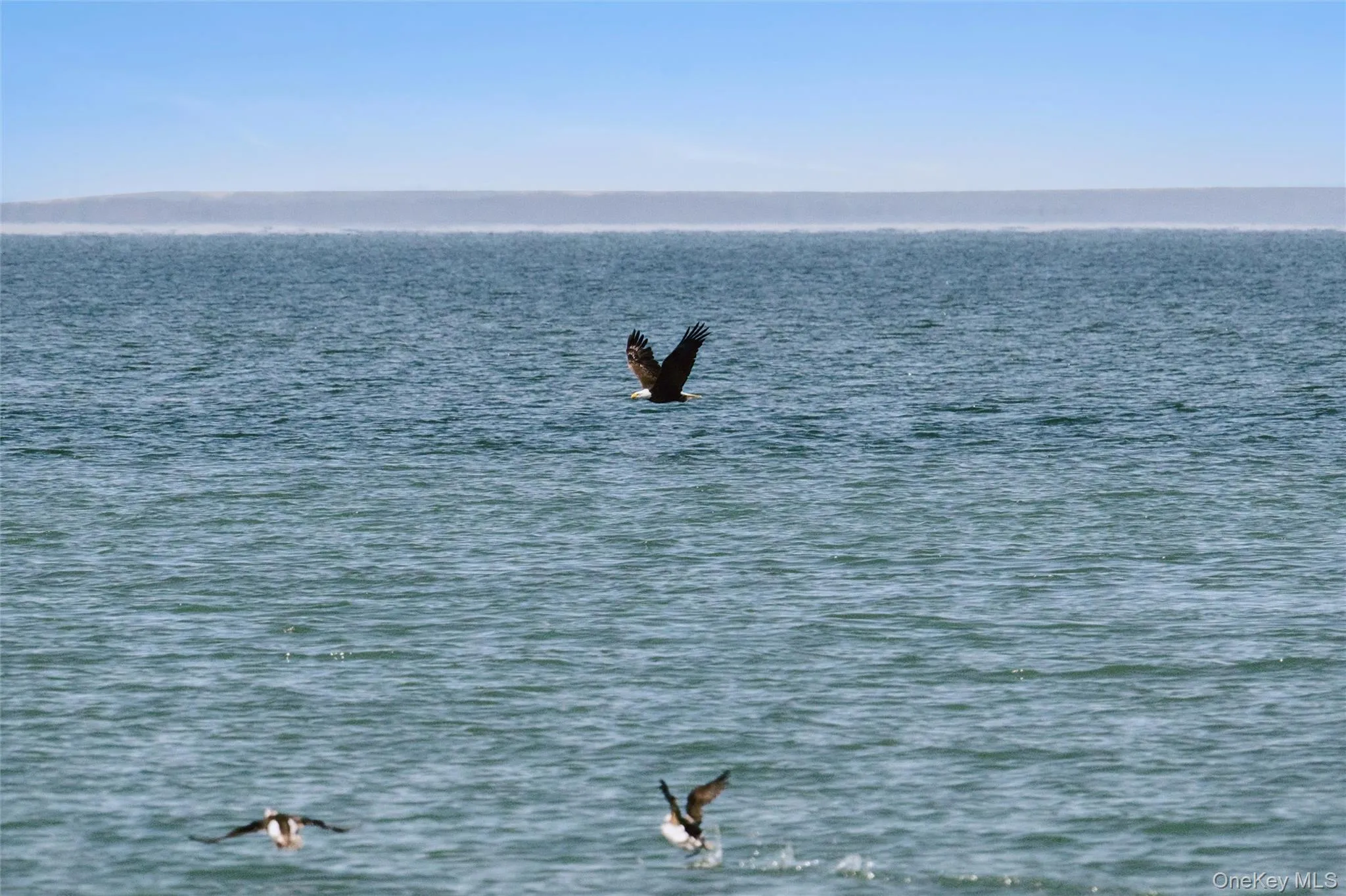 155 2nd Avenue, Southold, NY, 3 Bedrooms Bedrooms, 7 Rooms Rooms,1 BathroomBathrooms,Residential,For Rent,2nd,0,1036471 155 2nd Avenue, Southold, NY, 3 Bedrooms Bedrooms, 7 Rooms Rooms,1 BathroomBathrooms,Residential,For Rent,2nd,0,1036471