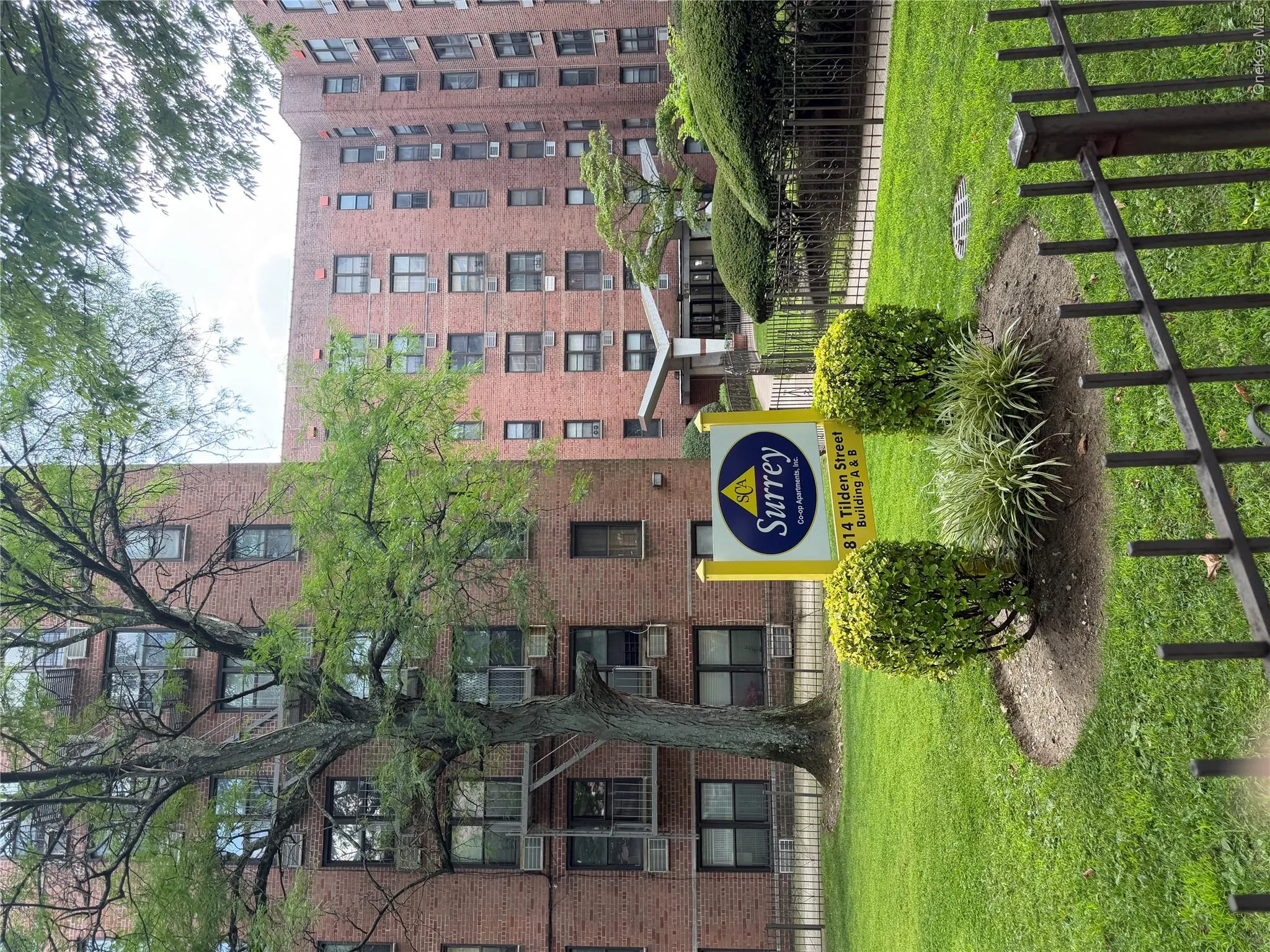 814 B TILDEN ST, New York, NY, 2 Bedrooms Bedrooms, 4 Rooms Rooms,1 BathroomBathrooms,Residential,For Rent,TILDEN ST,0,1036478 814 B TILDEN ST, New York, NY, 2 Bedrooms Bedrooms, 4 Rooms Rooms,1 BathroomBathrooms,Residential,For Rent,TILDEN ST,0,1036478