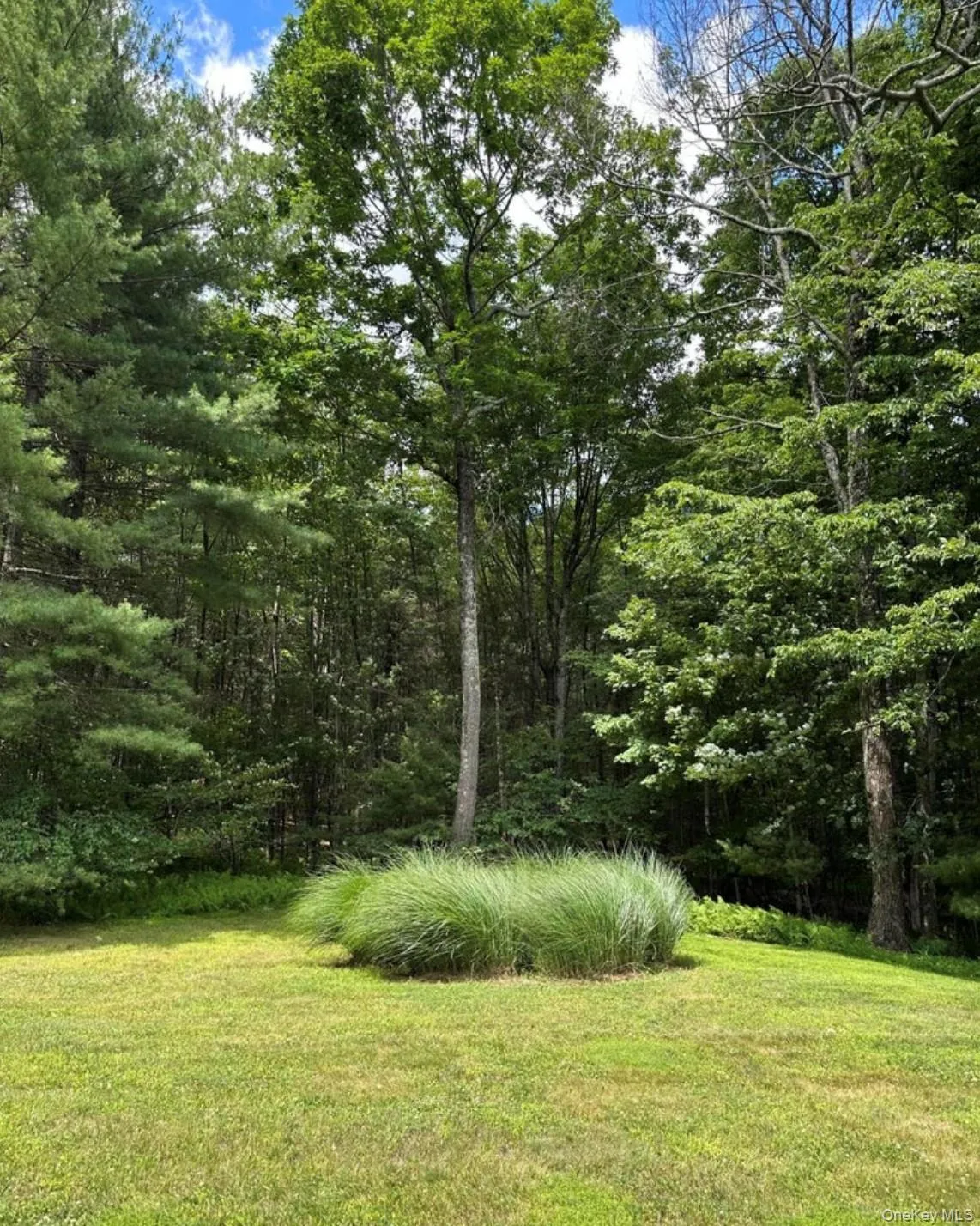 99 Van Tine Road, Rochester, NY, 3 Bedrooms Bedrooms, 6 Rooms Rooms,3 BathroomsBathrooms,Residential,For Rent,Van Tine,0,1036518 99 Van Tine Road, Rochester, NY, 3 Bedrooms Bedrooms, 6 Rooms Rooms,3 BathroomsBathrooms,Residential,For Rent,Van Tine,0,1036518