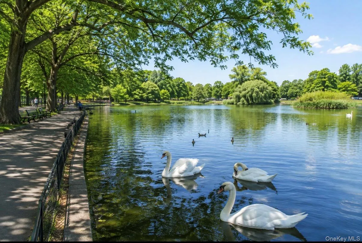 Kissena Park Lake Kissena Park Lake