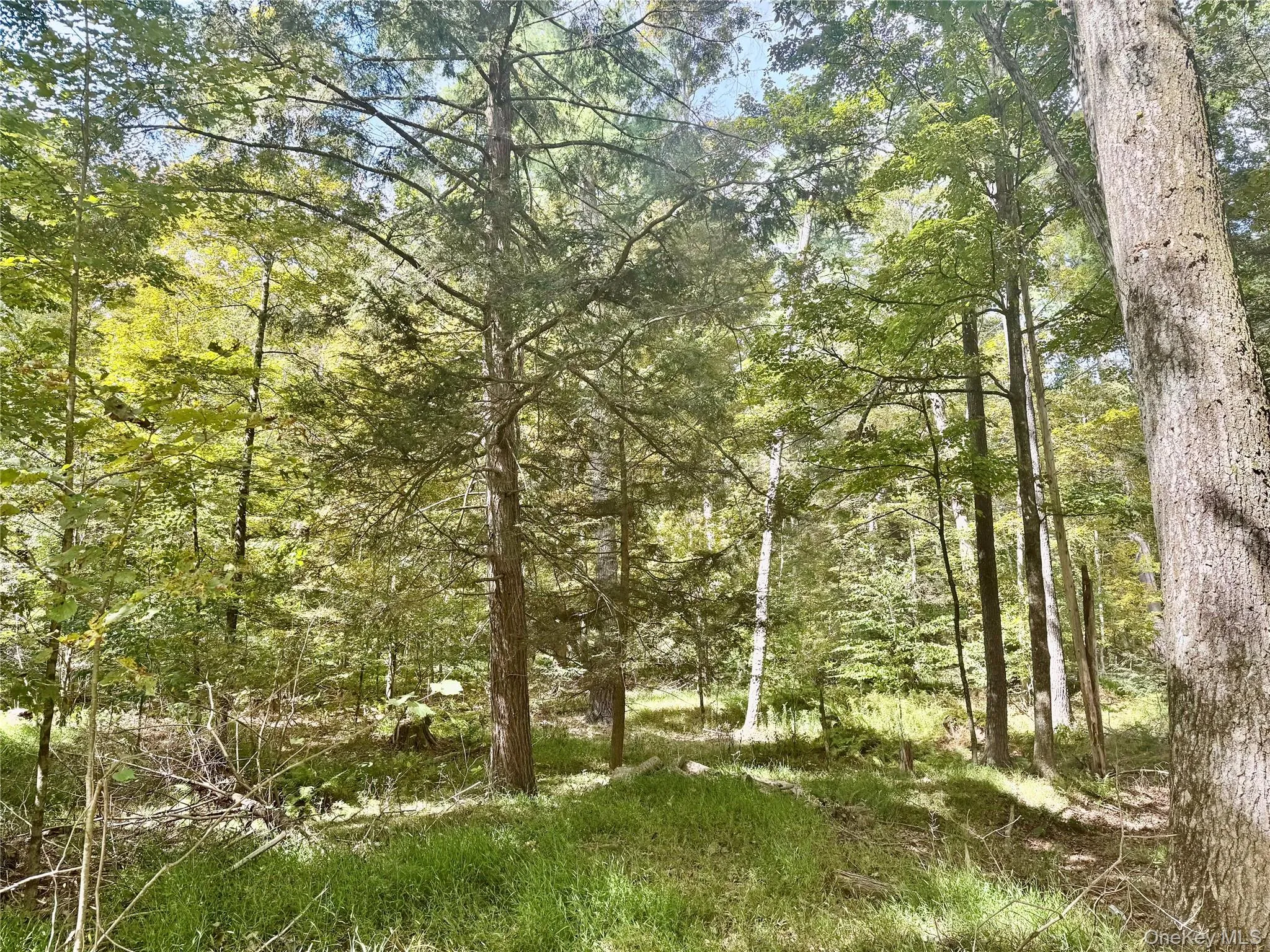 5 Trails, Deerpark, NY, ,Land,For Rent,Trails,0,1036554 5 Trails, Deerpark, NY, ,Land,For Rent,Trails,0,1036554