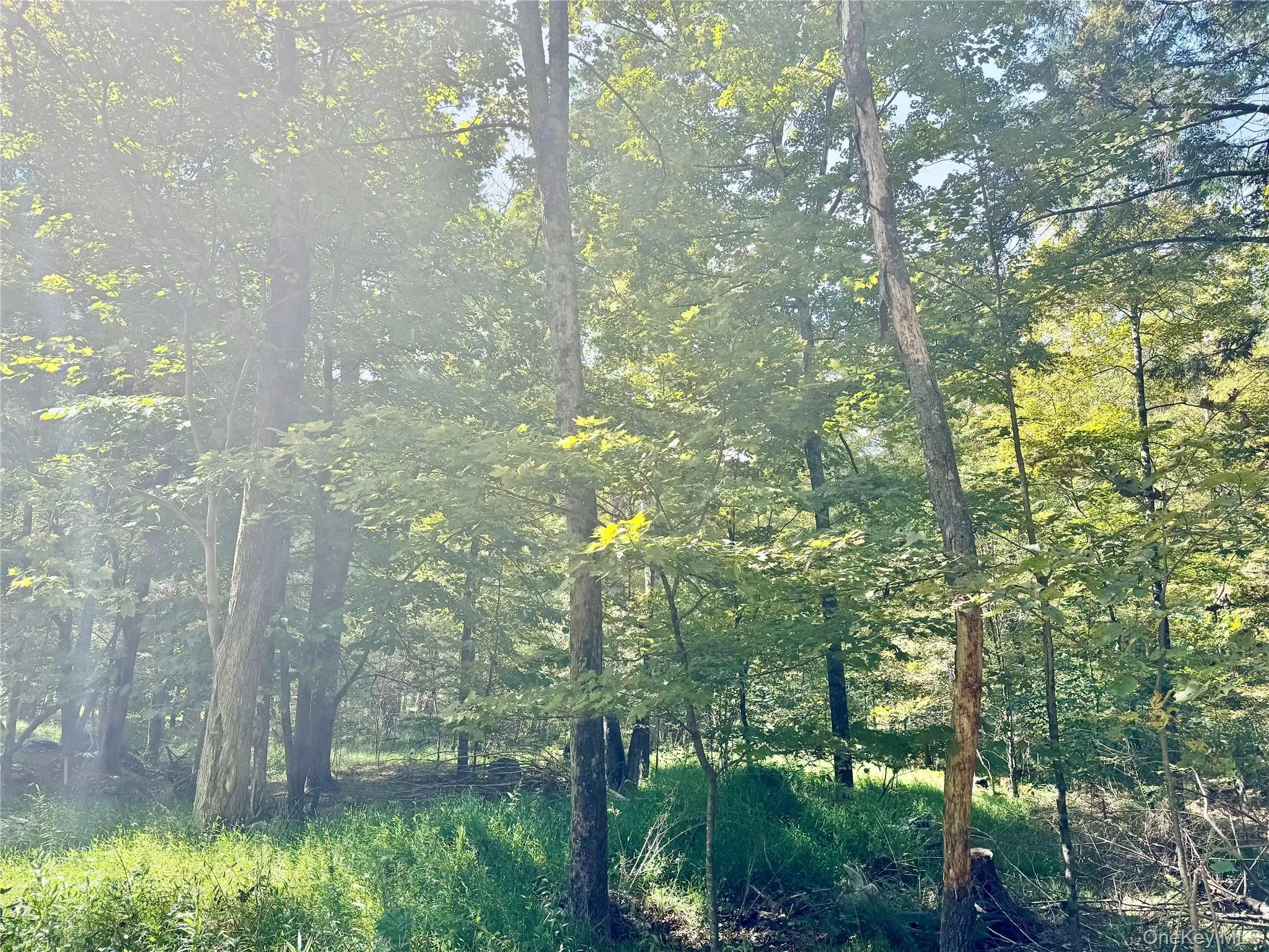 5 Trails, Deerpark, NY, ,Land,For Rent,Trails,0,1036554 5 Trails, Deerpark, NY, ,Land,For Rent,Trails,0,1036554
