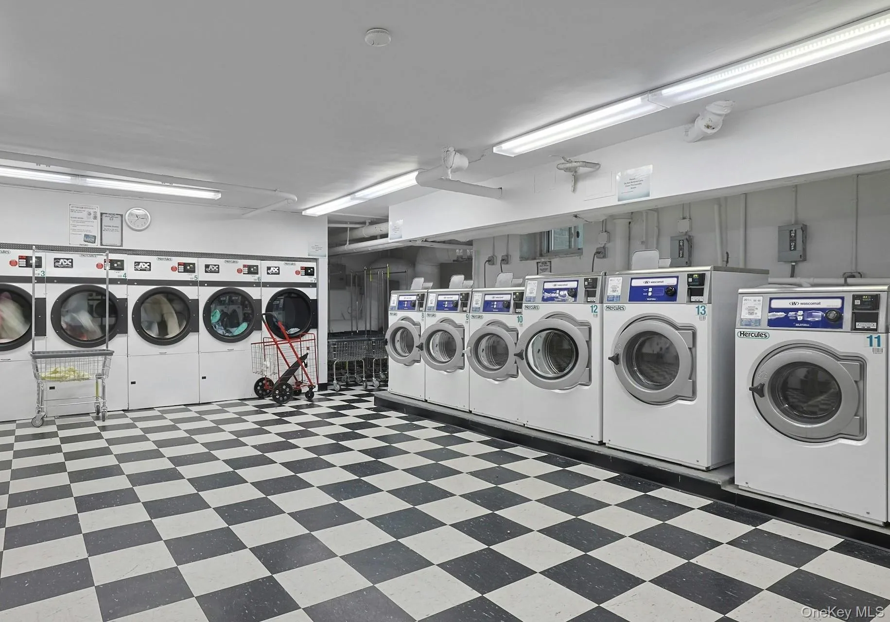 Common Laundry Room- Basement Area Common Laundry Room- Basement Area