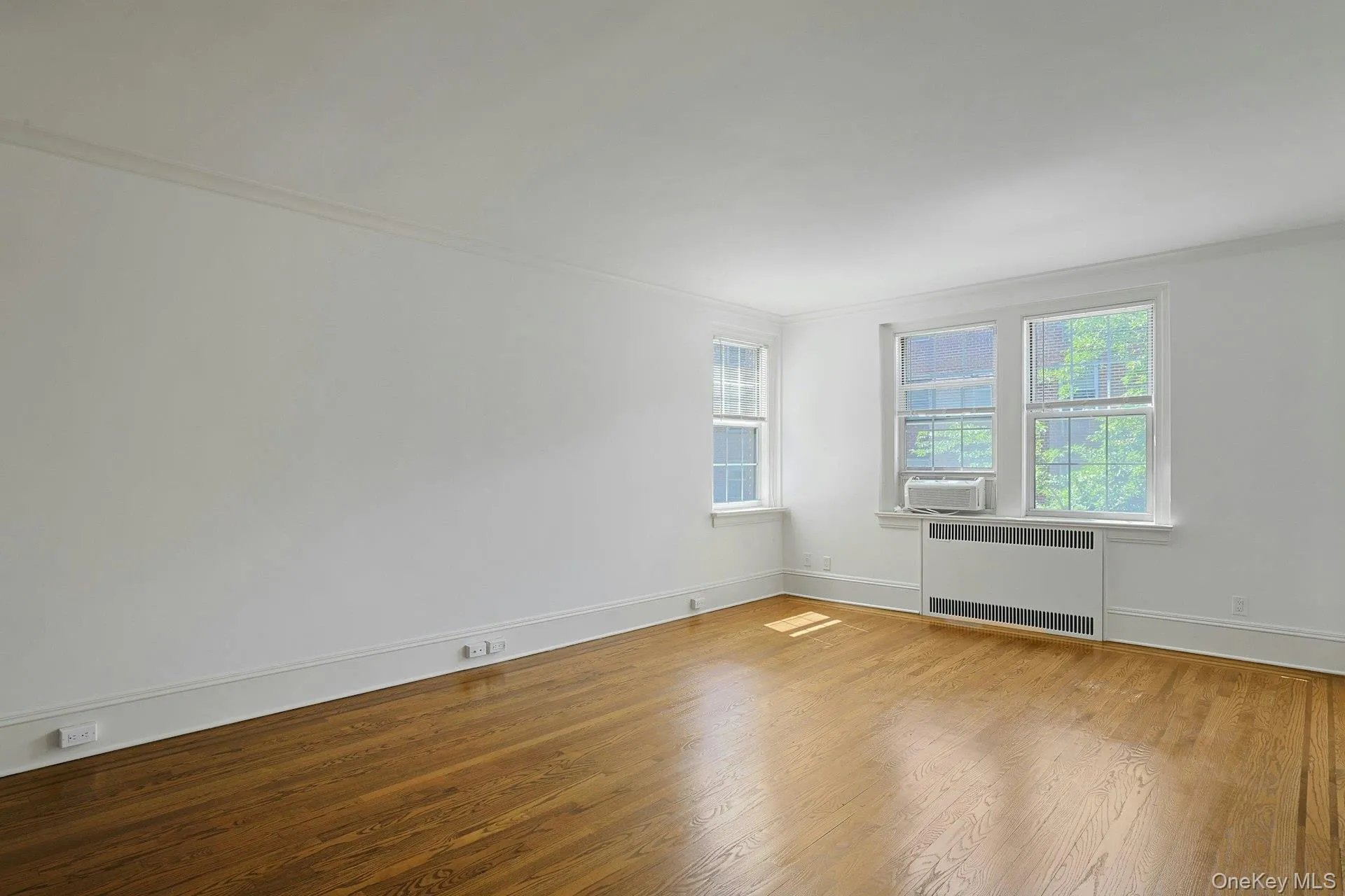 Main Living Area - Can Easily be transformed into a Sleeping Alcove & Living Room Space Main Living Area - Can Easily be transformed into a Sleeping Alcove & Living Room Space