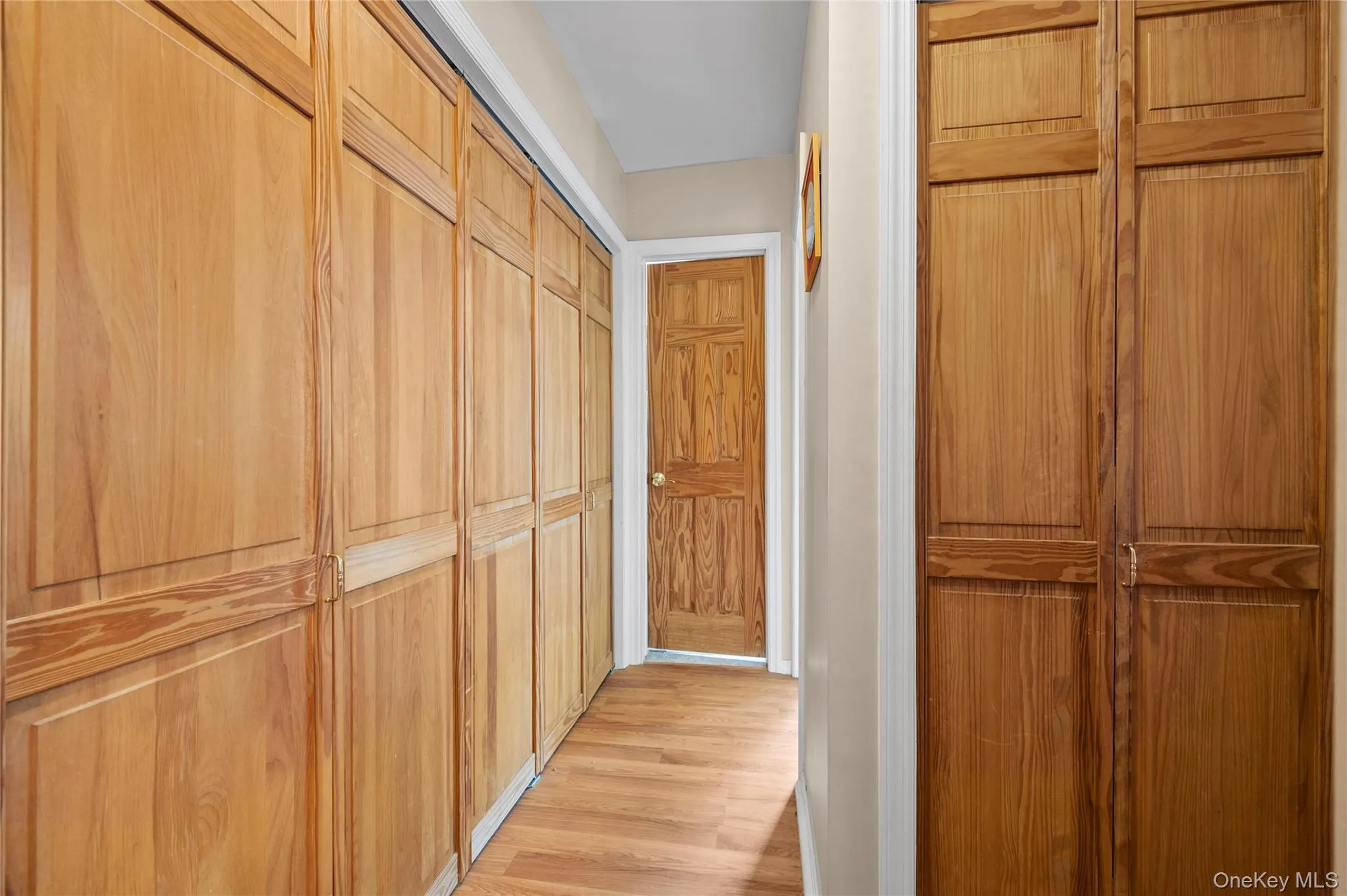 Plenty of closet space in the hallway leading toward the bedrooms Plenty of closet space in the hallway leading toward the bedrooms