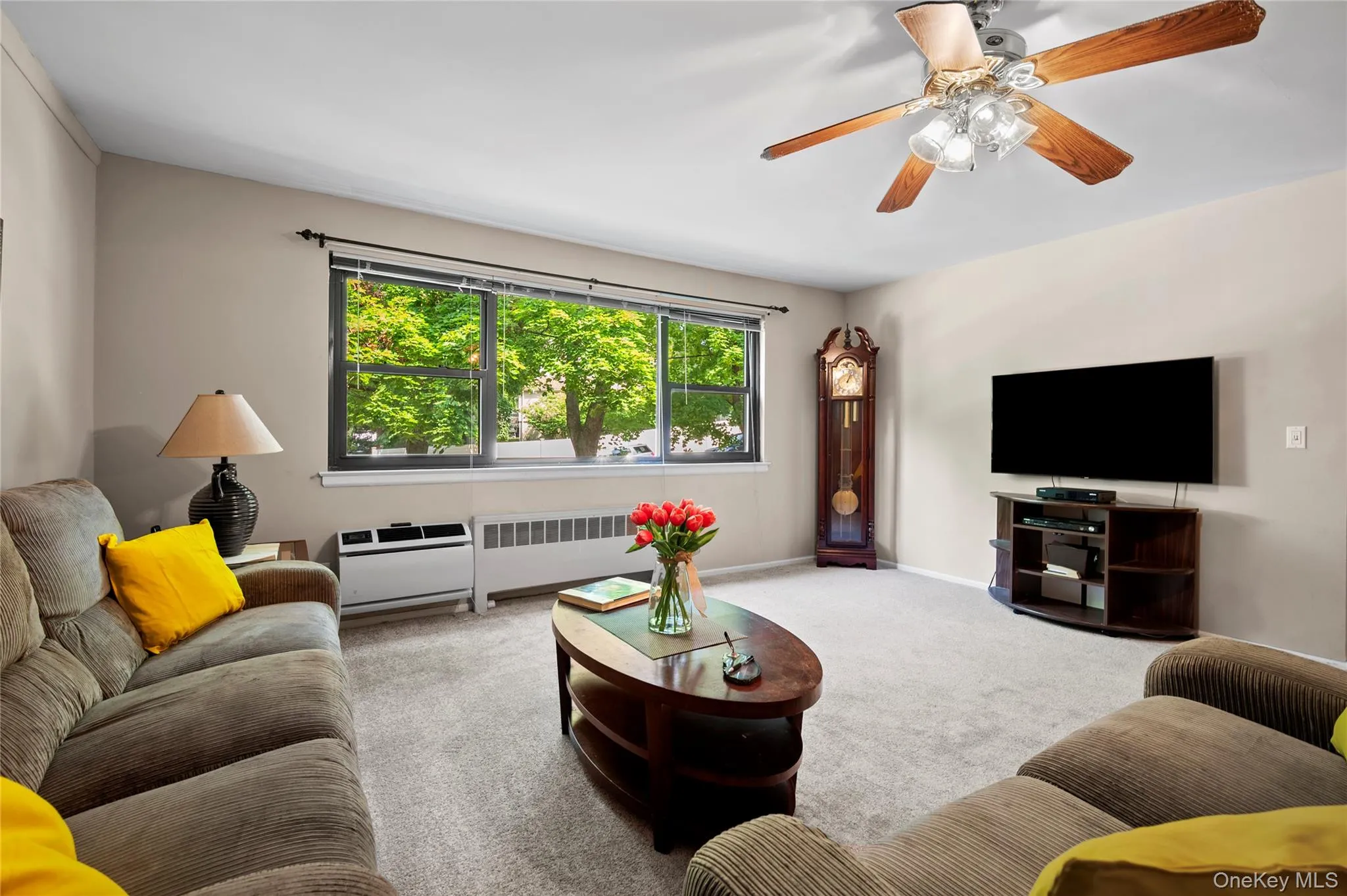 Bright living room with 3 large windows for plenty of natural light Bright living room with 3 large windows for plenty of natural light