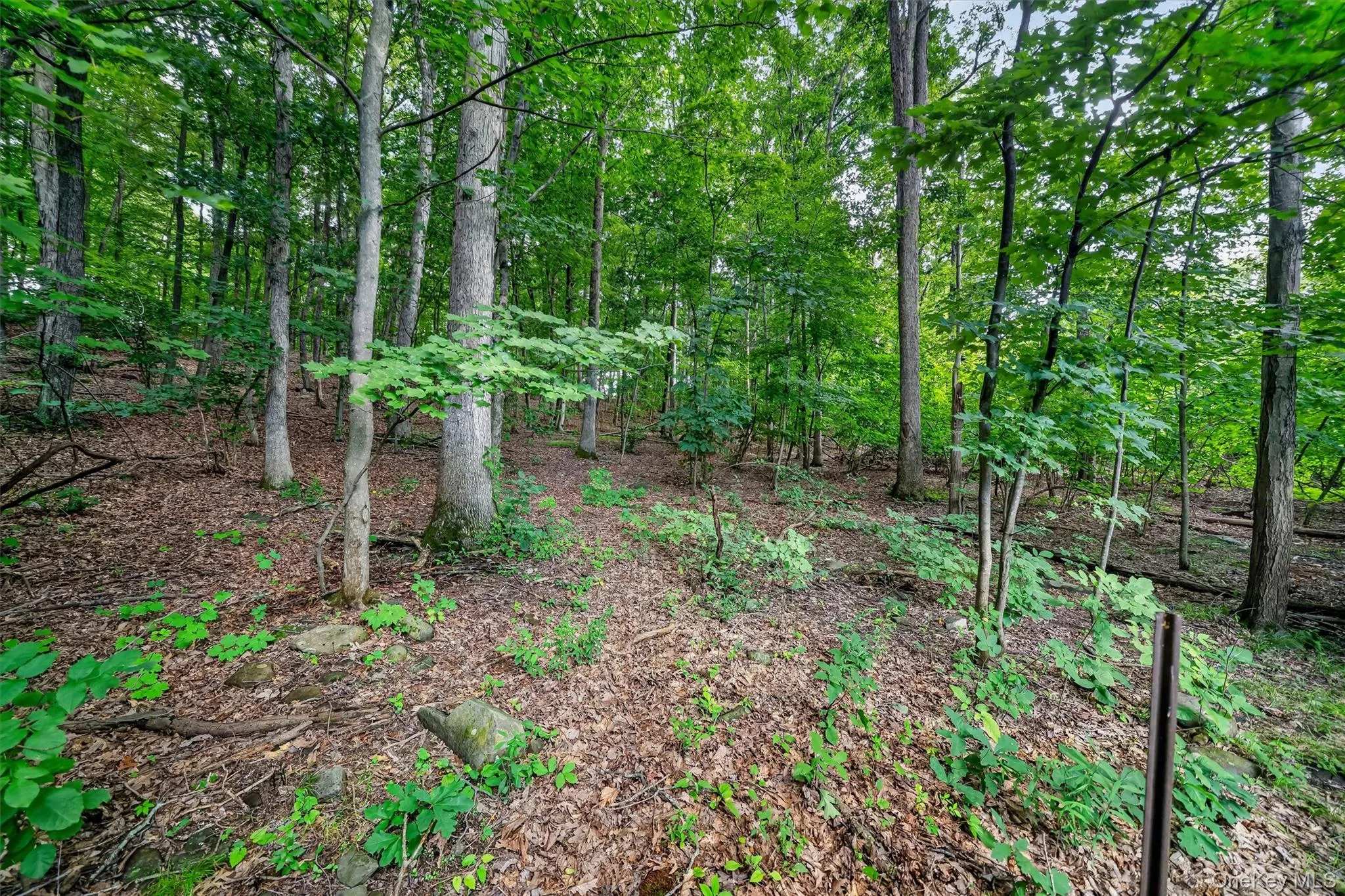 368 Old Dutch Hollow Road, Warwick (town), NY, 2 Bedrooms Bedrooms, 5 Rooms Rooms,1 BathroomBathrooms,Residential,For Rent,Old Dutch Hollow,0,1036599 368 Old Dutch Hollow Road, Warwick (town), NY, 2 Bedrooms Bedrooms, 5 Rooms Rooms,1 BathroomBathrooms,Residential,For Rent,Old Dutch Hollow,0,1036599