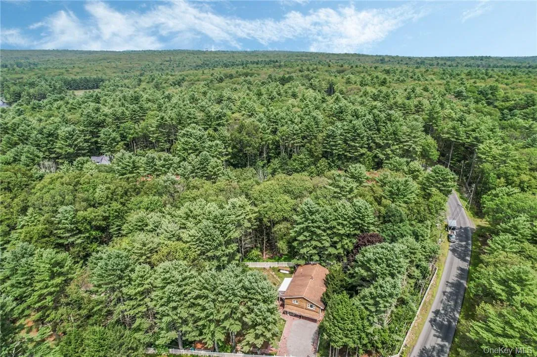 2 Hollowaty Kosak Road, Lumberland, NY, 3 Bedrooms Bedrooms, 8 Rooms Rooms,2 BathroomsBathrooms,Residential,For Rent,Hollowaty Kosak,0,1036624 2 Hollowaty Kosak Road, Lumberland, NY, 3 Bedrooms Bedrooms, 8 Rooms Rooms,2 BathroomsBathrooms,Residential,For Rent,Hollowaty Kosak,0,1036624