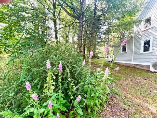 3 Rennenberg Road, Highland, NY, 2 Bedrooms Bedrooms, 5 Rooms Rooms,1 BathroomBathrooms,Residential,For Rent,Rennenberg,0,1036631 3 Rennenberg Road, Highland, NY, 2 Bedrooms Bedrooms, 5 Rooms Rooms,1 BathroomBathrooms,Residential,For Rent,Rennenberg,0,1036631