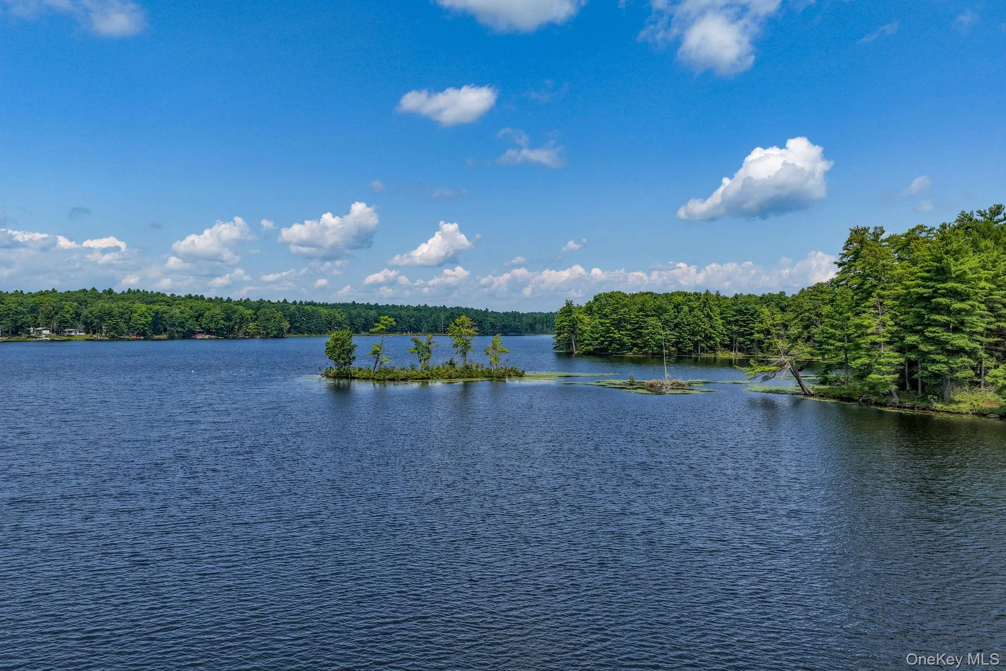 Mohican Lake Mohican Lake