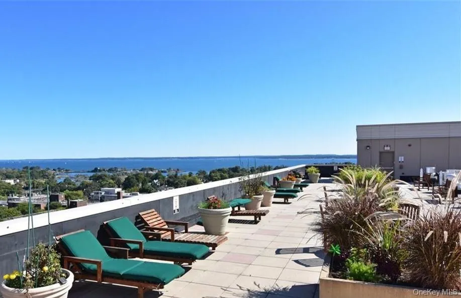100 New Roc City Place, New Rochelle, NY, 1 Bedroom Bedrooms, 3 Rooms Rooms,1 BathroomBathrooms,Residential,For Rent,New Roc City,0,1036651 100 New Roc City Place, New Rochelle, NY, 1 Bedroom Bedrooms, 3 Rooms Rooms,1 BathroomBathrooms,Residential,For Rent,New Roc City,0,1036651