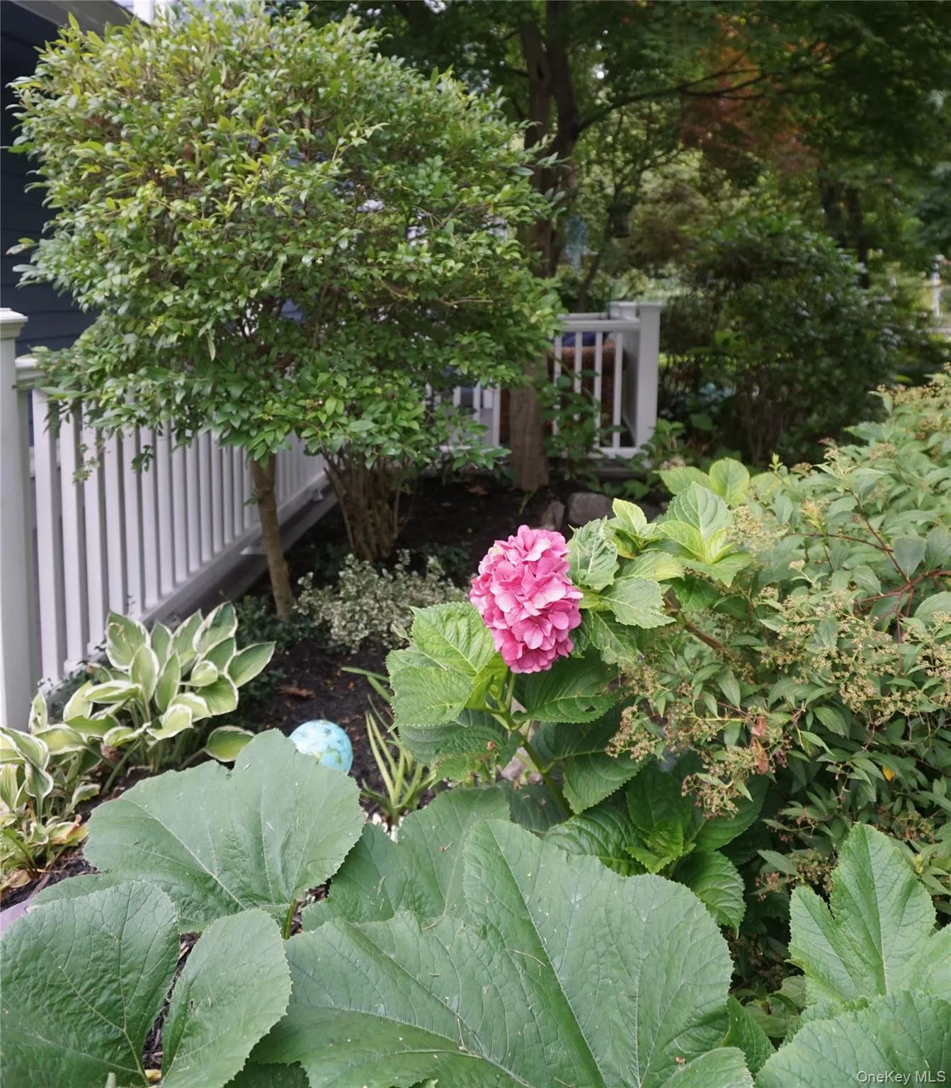 50 Campwoods Grounds, Ossining, NY, 2 Bedrooms Bedrooms, 5 Rooms Rooms,1 BathroomBathrooms,Residential,For Rent,Campwoods Grounds,0,1036660 50 Campwoods Grounds, Ossining, NY, 2 Bedrooms Bedrooms, 5 Rooms Rooms,1 BathroomBathrooms,Residential,For Rent,Campwoods Grounds,0,1036660