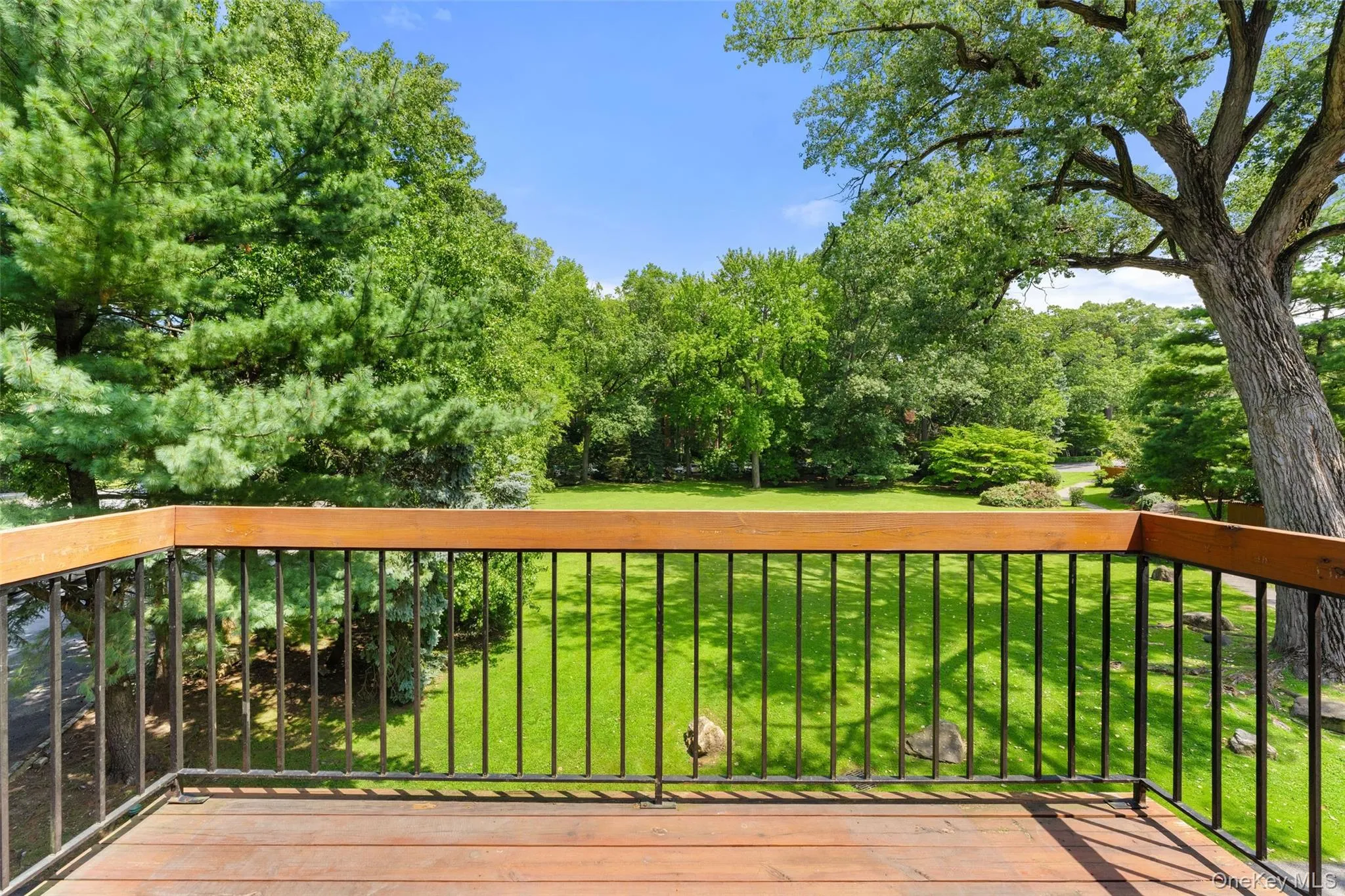 Terrace overlooking the park view. Terrace overlooking the park view.