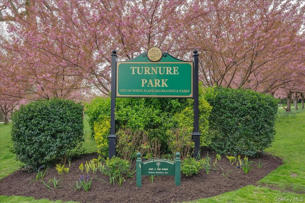 16 Lake Street, White Plains, NY, 1 Bedroom Bedrooms, 4 Rooms Rooms,1 BathroomBathrooms,Residential,For Rent,Lake,0,1036708 16 Lake Street, White Plains, NY, 1 Bedroom Bedrooms, 4 Rooms Rooms,1 BathroomBathrooms,Residential,For Rent,Lake,0,1036708