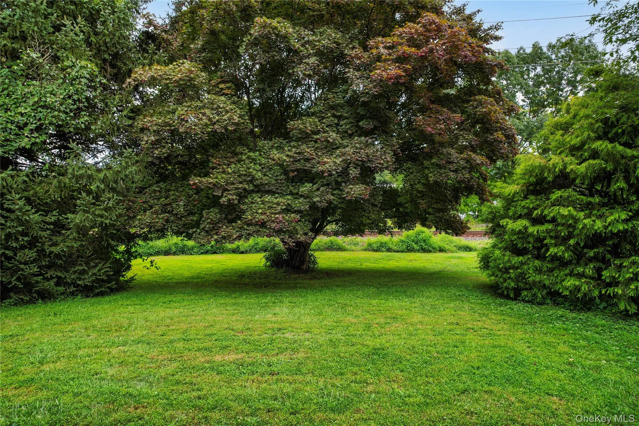 143 Harrison Avenue, Clarkstown, NY, 3 Bedrooms Bedrooms, 7 Rooms Rooms,2 BathroomsBathrooms,Residential,For Rent,Harrison,0,1036741 143 Harrison Avenue, Clarkstown, NY, 3 Bedrooms Bedrooms, 7 Rooms Rooms,2 BathroomsBathrooms,Residential,For Rent,Harrison,0,1036741