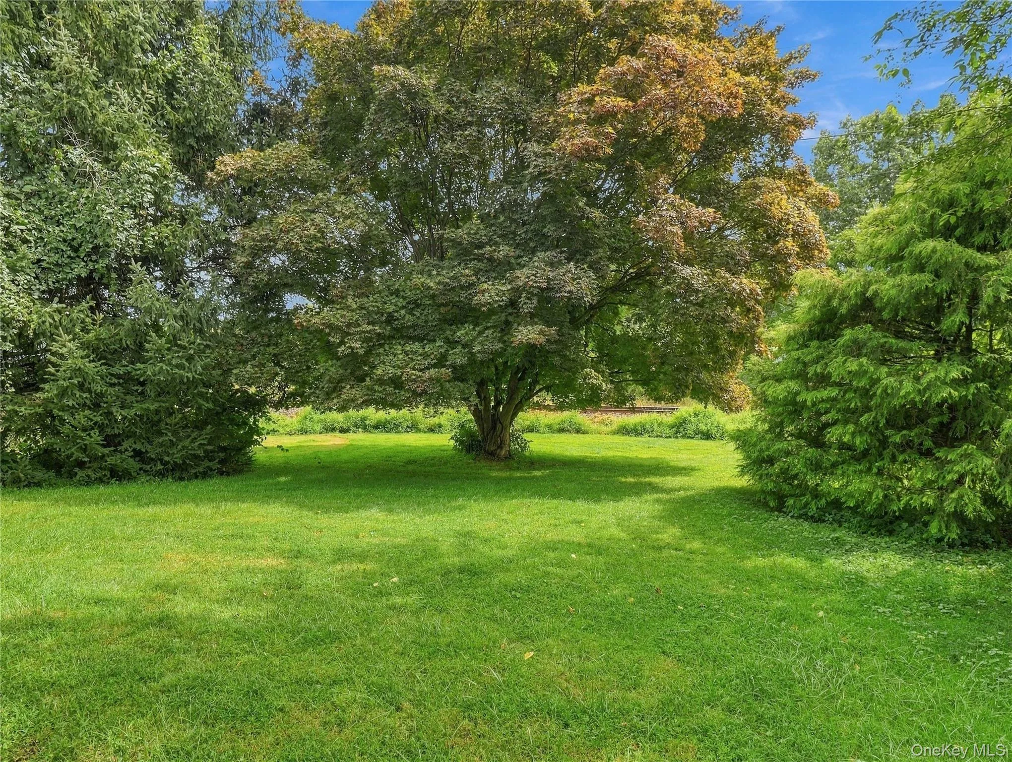 143 Harrison Avenue, Clarkstown, NY, 3 Bedrooms Bedrooms, 7 Rooms Rooms,2 BathroomsBathrooms,Residential,For Rent,Harrison,0,1036741 143 Harrison Avenue, Clarkstown, NY, 3 Bedrooms Bedrooms, 7 Rooms Rooms,2 BathroomsBathrooms,Residential,For Rent,Harrison,0,1036741