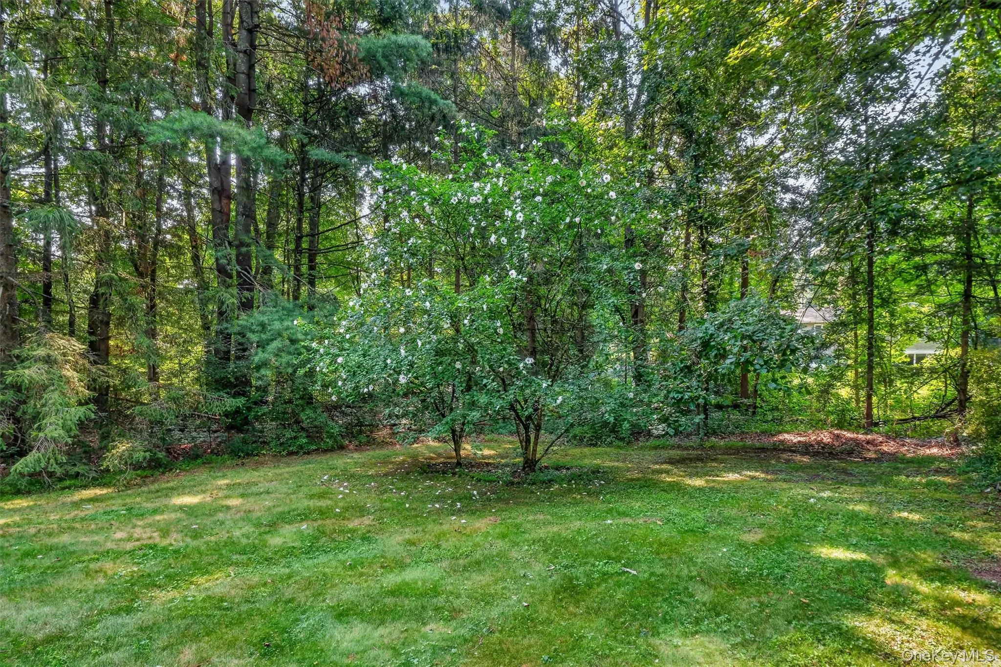 37 Julie Drive, East Fishkill, NY, 3 Bedrooms Bedrooms, 11 Rooms Rooms,1 BathroomBathrooms,Residential,For Rent,Julie,0,1036754 37 Julie Drive, East Fishkill, NY, 3 Bedrooms Bedrooms, 11 Rooms Rooms,1 BathroomBathrooms,Residential,For Rent,Julie,0,1036754